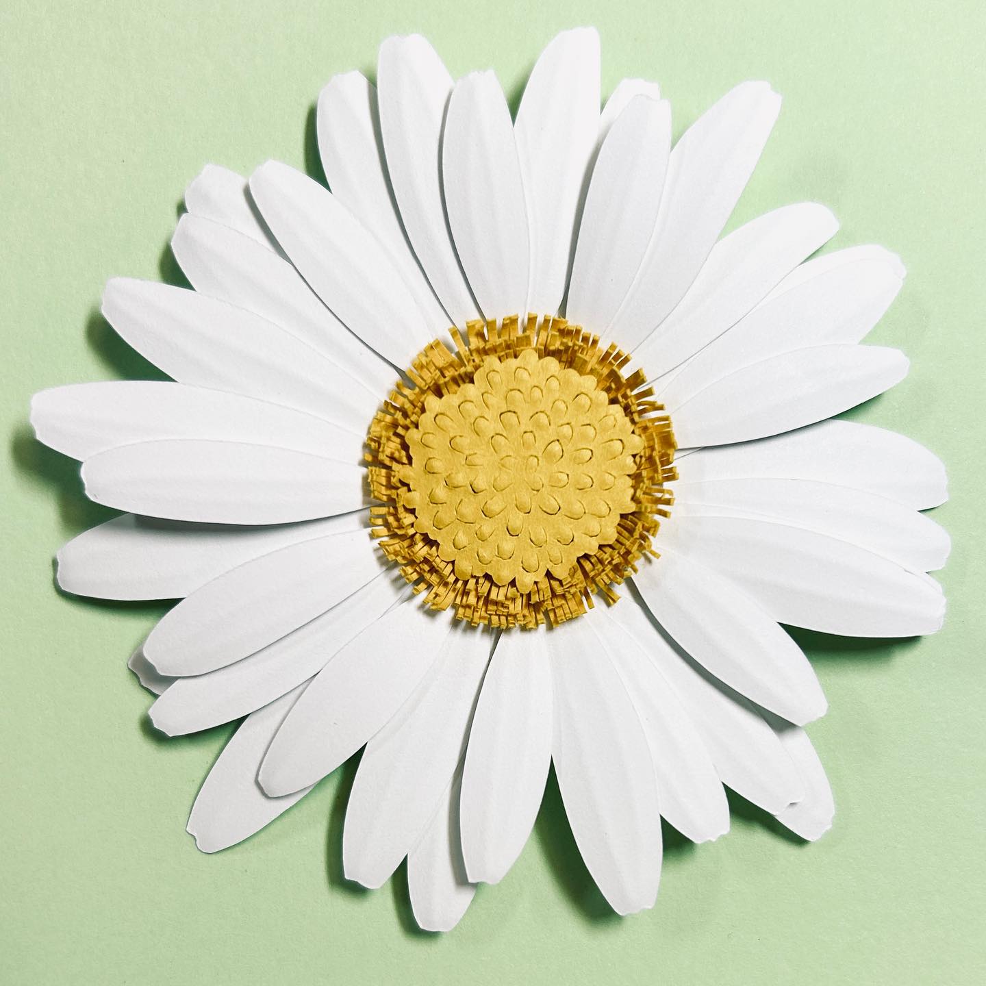 Summer is here and I’m finally feeling creative again 🌼 Beautiful 3D paper daisies coming soon!
#handcutpaper #paperartist #paperflowerart #canadianartist #durhamregionhandmade #durhamregionartist