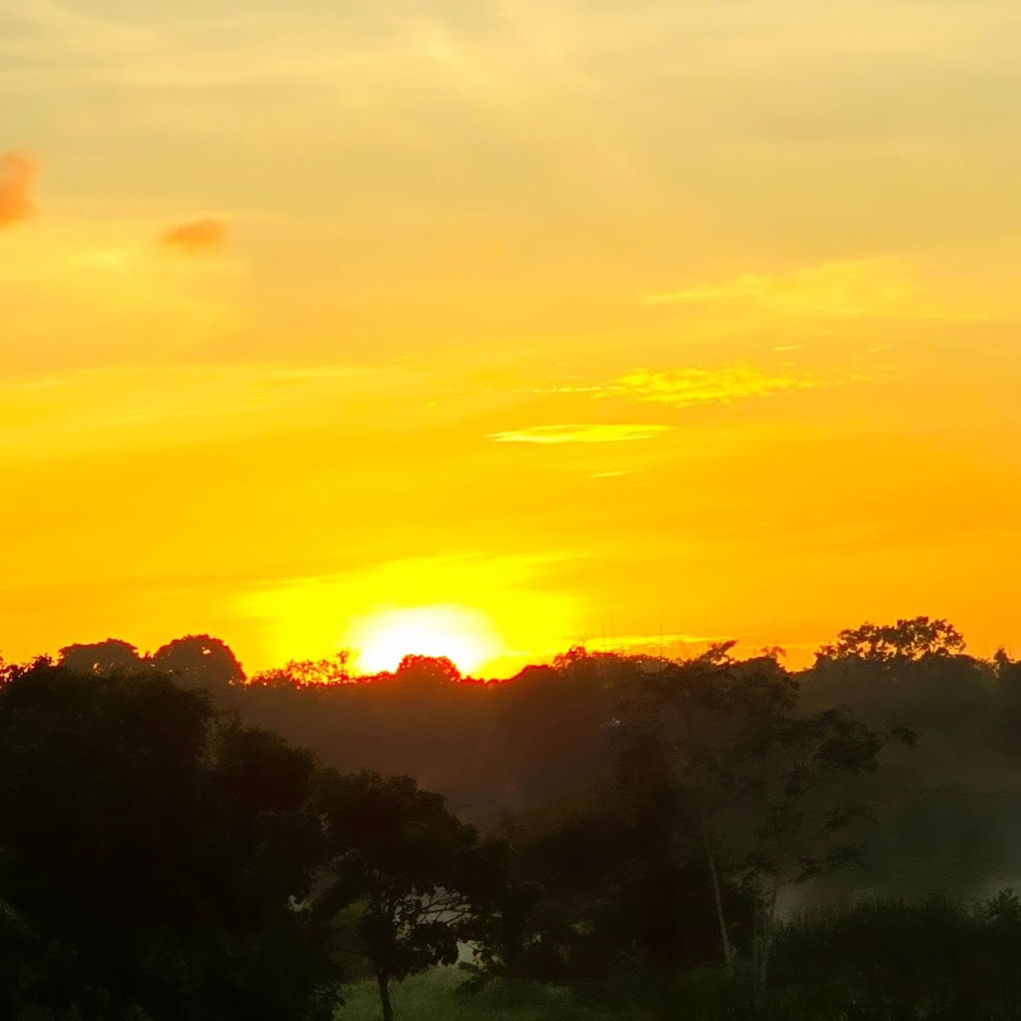 Embrace the week with the brilliance of new beginnings.
Happy Monday!
#josannemark #sunrise #newweekahead