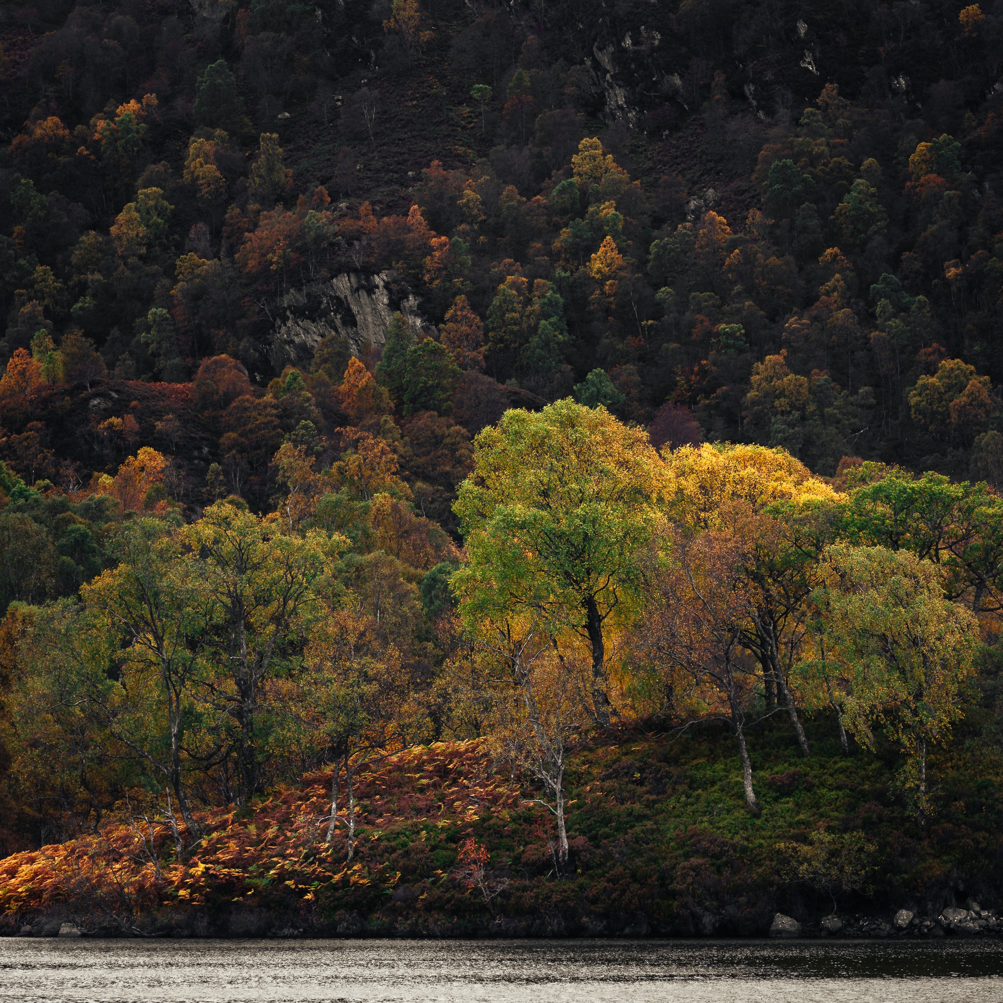 When low sunlight graces the land, hidden treasures come to life.
#lochkatrine #trossachs #scottishlandscape #explorescotland #visitscotland #lovescotland #scotlandshots #scotlandscenery #scotlandexplore #landscapephotography #naturephotography #wildernessculture #sunlight #autumnvibes #treasureofthewild #scottishhighlands #ig_scotland #scotlandmagazine #exploremore #wildscotland #scenicviews #hiddenplaces #discoverearth #autumnlight #naturelovers #beautifuldestinations #landscape_lovers #earthfocus #scotlandlover