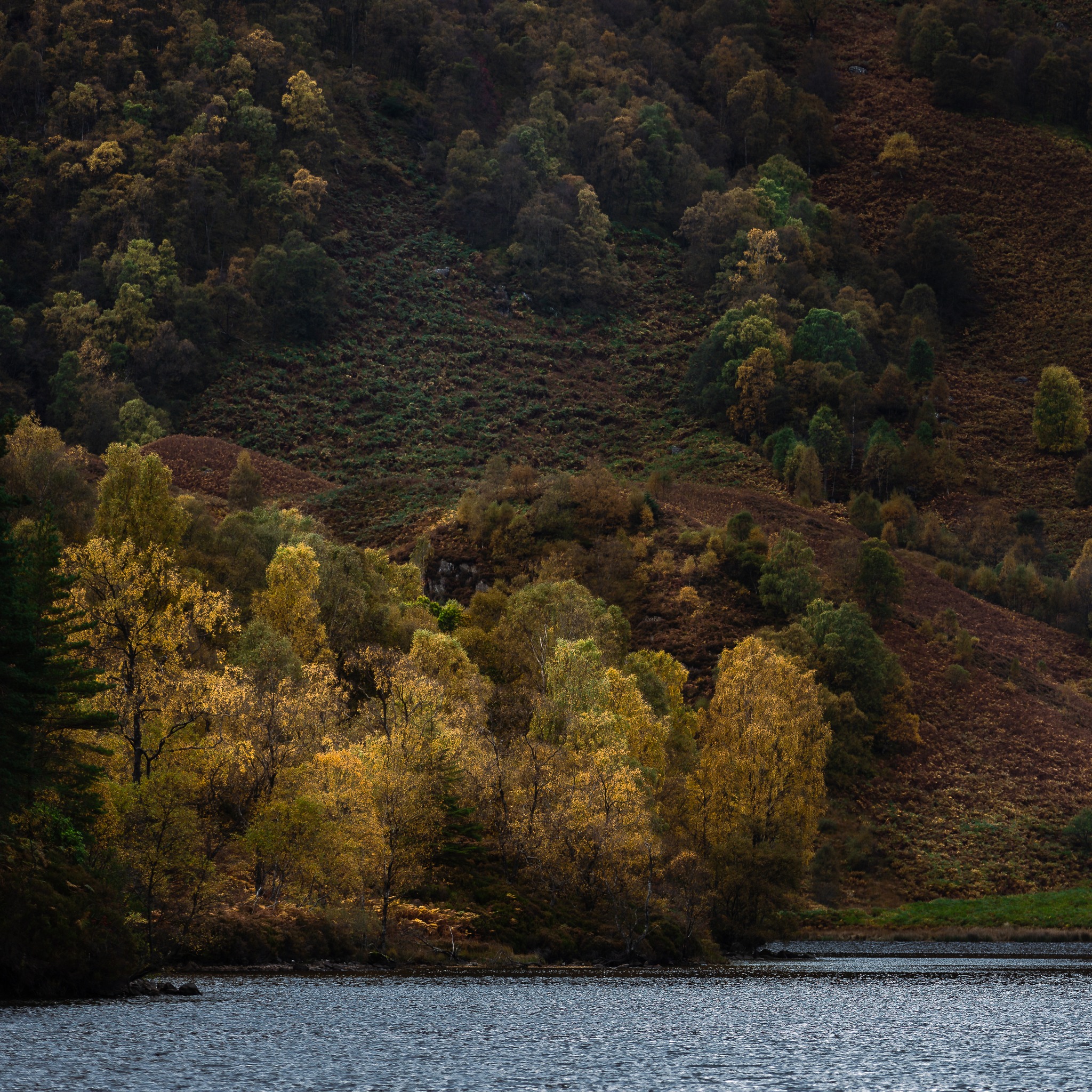 What a playground.
#lochkatrine #scottishlandscape #visitscotland #scotland_insta #discoverearth #nature_seekers #highlandscenery #raw_scotland #sceniclandscape #autumnvibes #mountainscape #glowingtrees #scenicshots #naturecaptures #scottishphotography #landscape_lover #wildernessculture #earthmood #thegreatoutdoors #scotlandisnow #explorescotland #mountainlife #scotlandshots #naturephotographer #lochsandglens #hiddenbeauty #wildplaces #autumnlandscape #scotlandadventures #scotlandnature