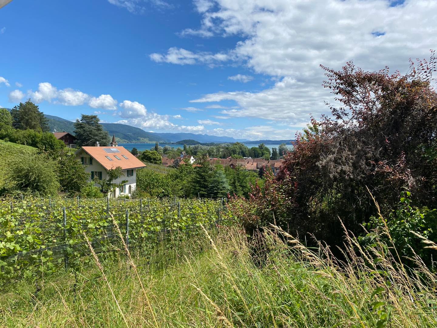 1. August🇨🇭!
Wir gönnen uns ein verlängertes Wochenende und haben von Heute, 1. August bis am Sonntag, 4. August geschlossen!🔒
Wir freuen uns auf eine kurze Auszeit und geniessen das schöne Wetter an und um unsere Gewässer 🎉😊!
Wir wünschen „ä schöne 1. August“ oder schöni Ferie - bis gli und Hopp Schwiiz, oder so“!😉
#freibankbern
#wankdorfcity
#plegere
#wärnidchunthetfrei
#eatlocal
#drinklocal