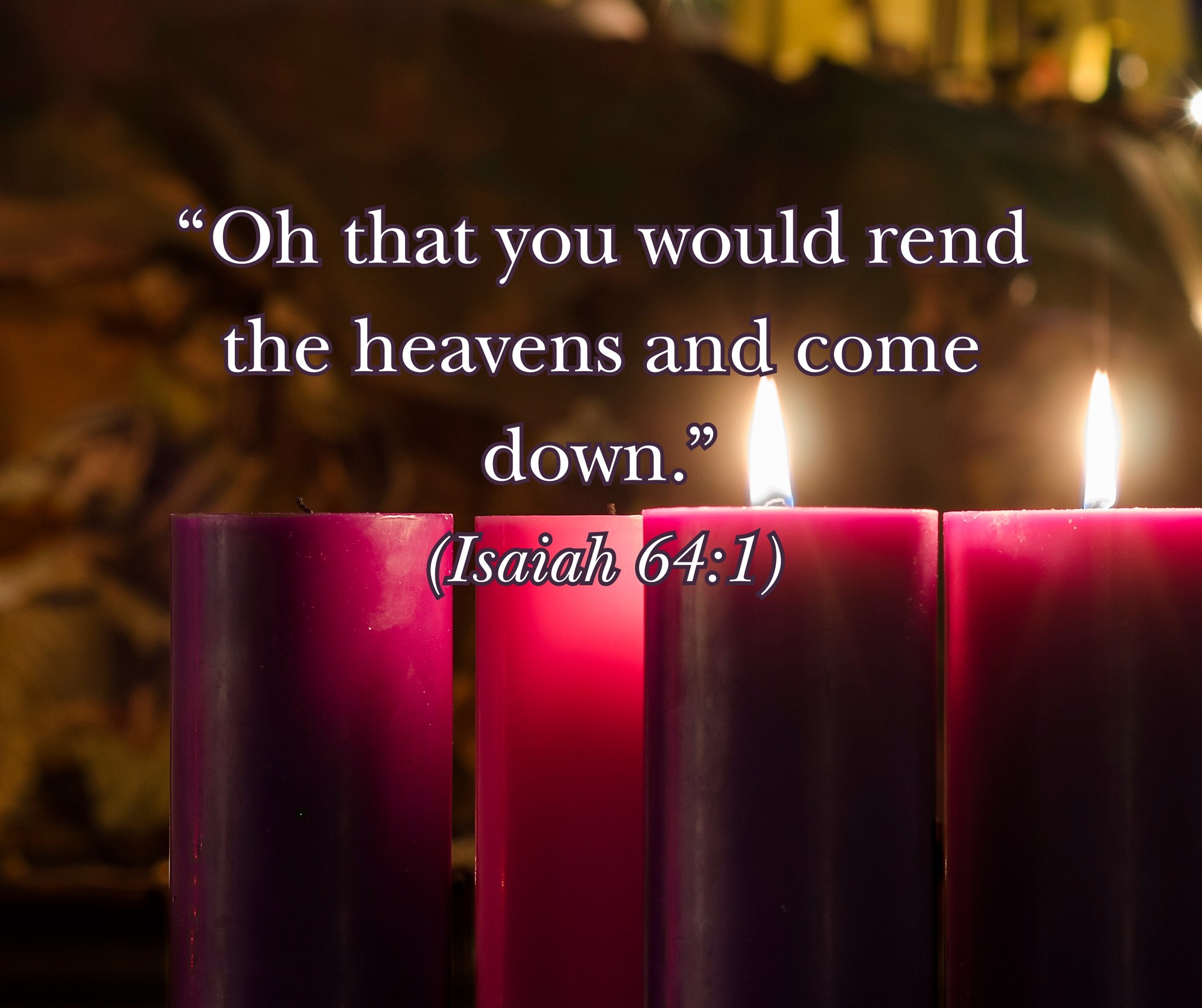 The 14th day of Advent...