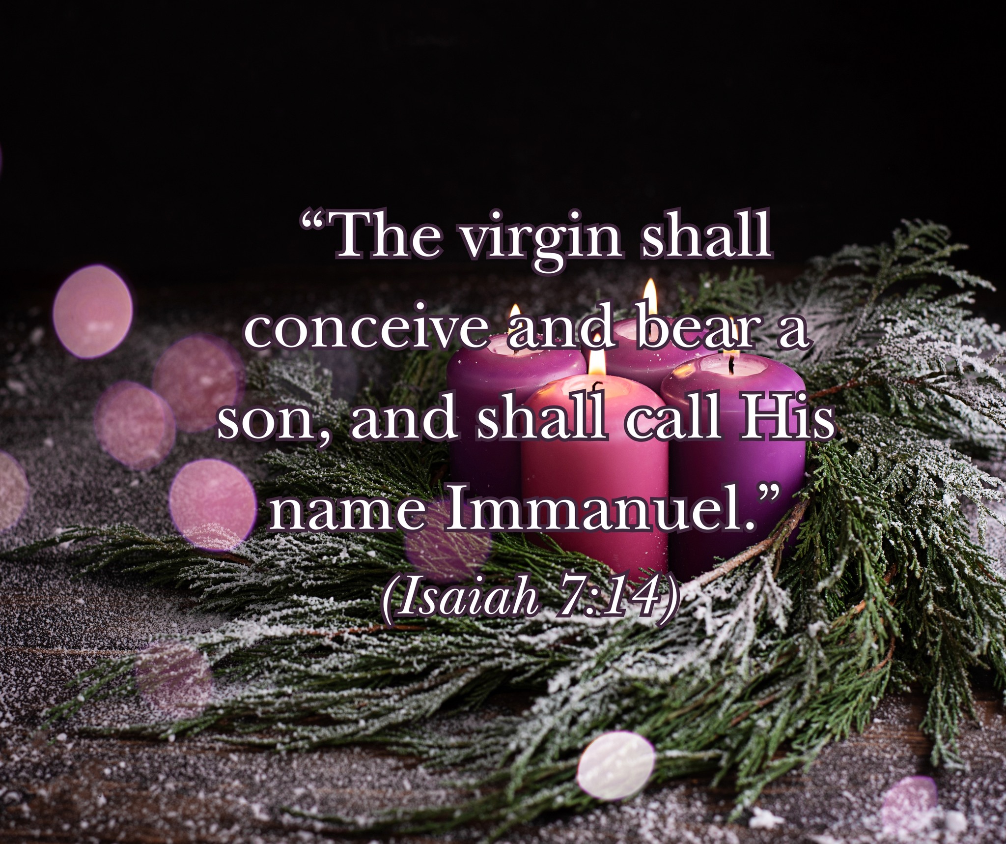 The 24th day of Advent...