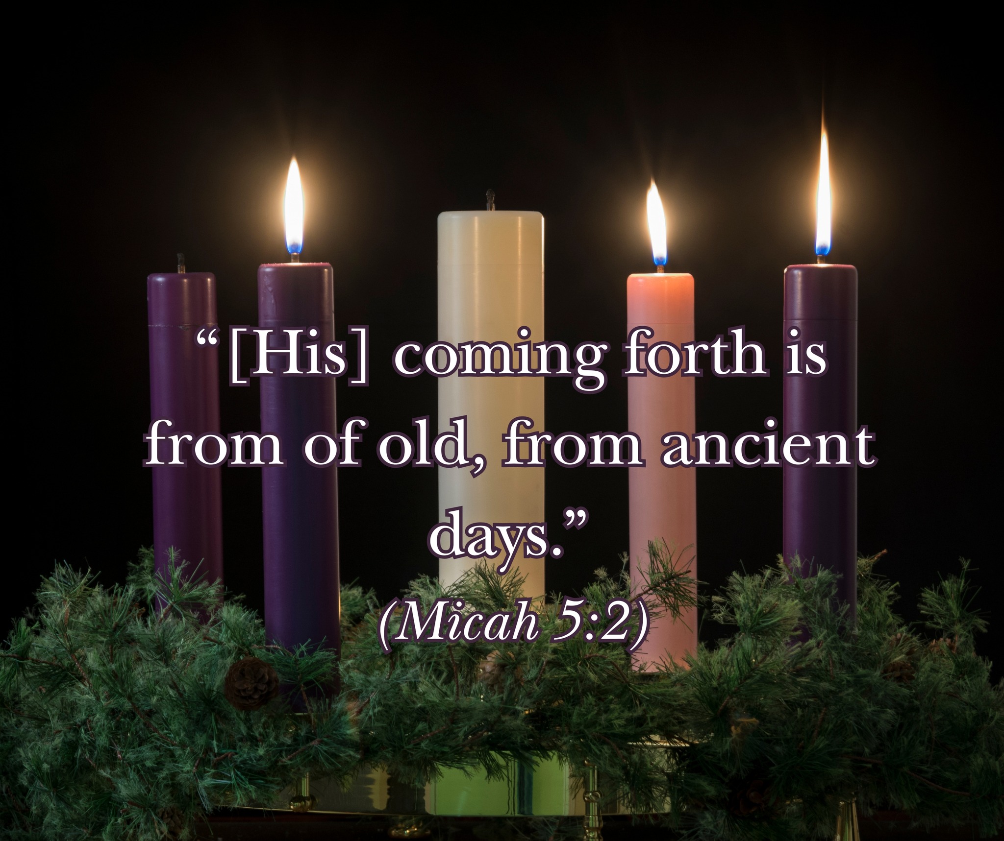 The 16th Day of Advent...