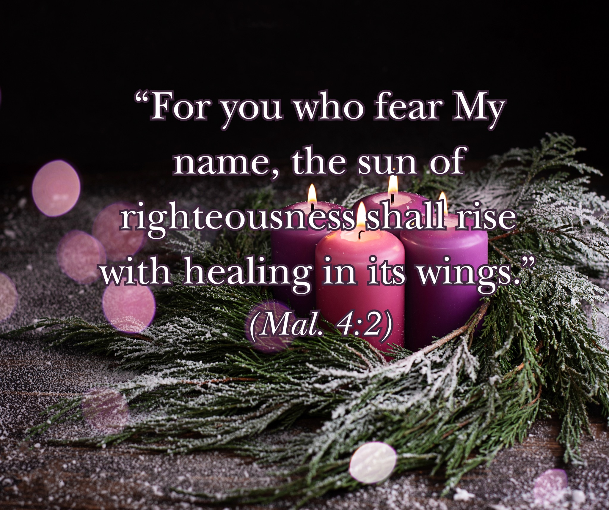 As we enter the last week of Advent, we light the fourth candle—the Candle of Love. May these Scriptures fill you with joy and anticipation as we draw ever closer to celebrating the birth of our Savior.