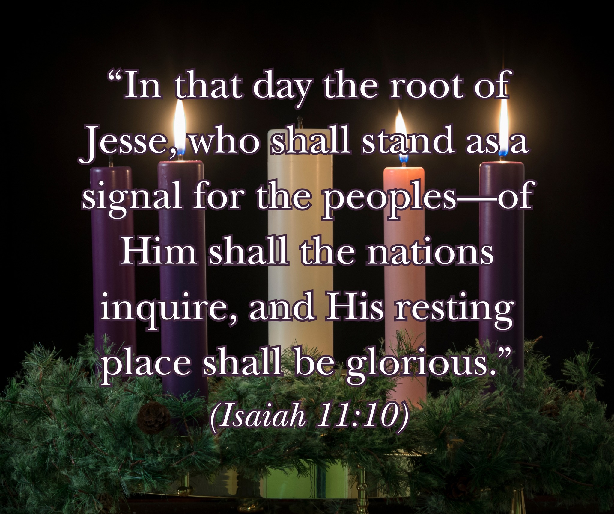 The 20th Day of Advent...