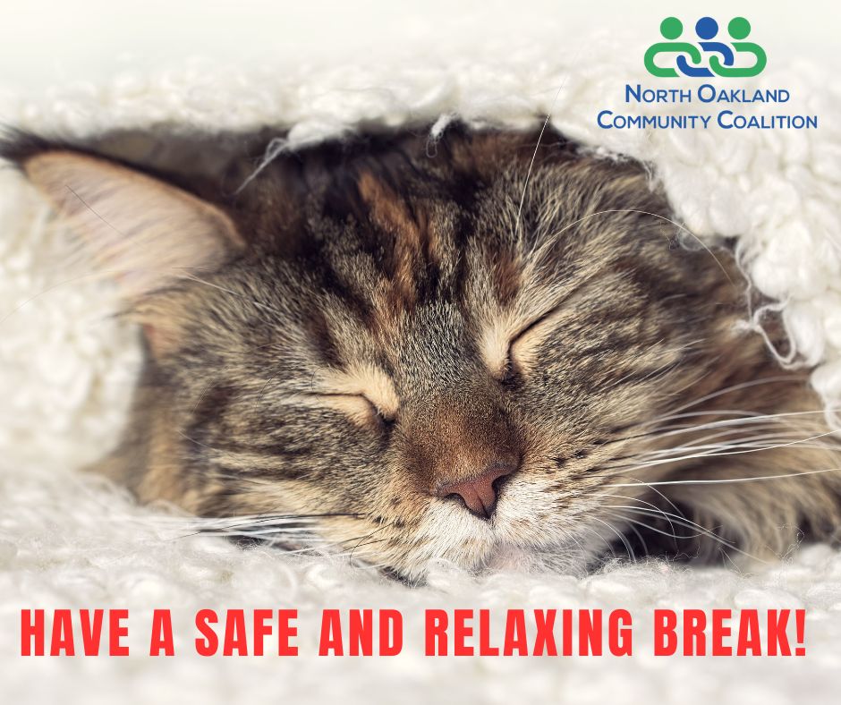 Wishing all our Lake Orion Dragons and Oxford Wildcats a safe, relaxing, and fun holiday break! ❤️💚💙