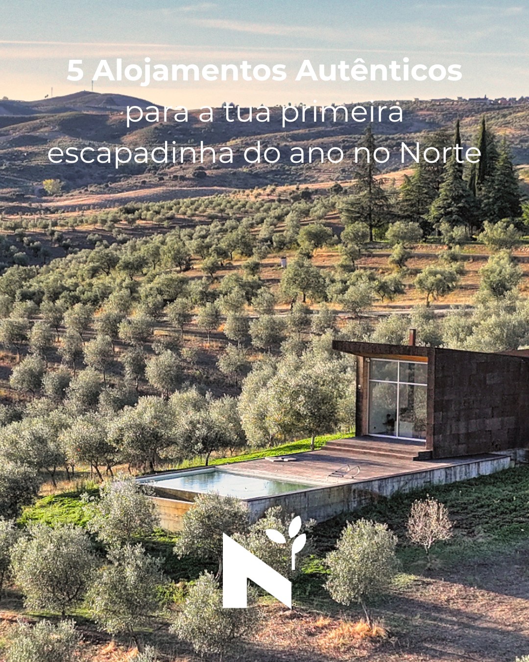 🌿 Começar 2026 devagar
Entre olivais em repouso, lareiras acesas e aldeias que voltam a respirar no inverno.
Selecionámos 5 alojamentos autênticos, onde a terra, a cultura e o azeite fazem parte da experiência — não como cenário, mas como vida real.
🫒 Onde ficas para a tua primeira escapadinha do ano?
👉 Descobre o artigo completo no blog
🔗 azeiteanorte.pt/blog
#azeiteanorte #azeiteportugues #azeitedeoliva #olival #entreolivais #trasosmontes #altodouro #turismorural #alojamentoautentico #escapadinhas #turismodeportugal #invernotransmontano #portugalauthentic #oleoturismo #olivoturismo #olivicultura #culturarural #aldeiasdeportugal #slowtravel #aceitedeoliva #escapadasrurales #oliveoil #olivegrove #ruraltourism #slowtravel #authentictravel