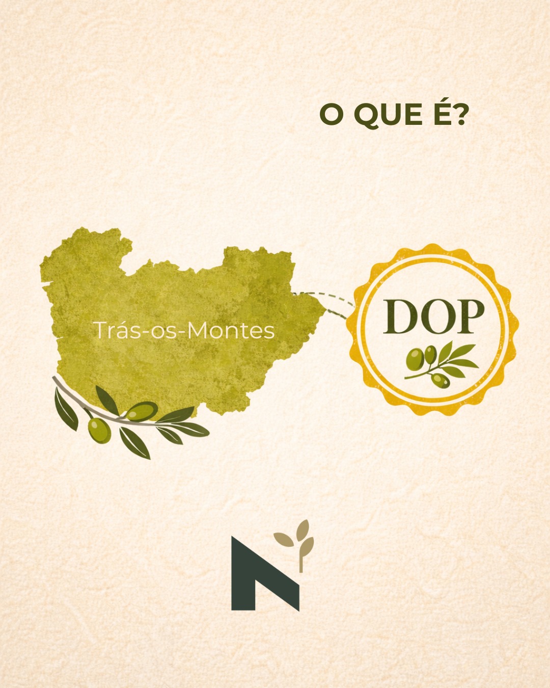 O que é o selo DOP do azeite transmontano? 🌿
É mais do que um selo: é a garantia de que cada gota nasce num território definido, com clima e solos únicos, onde a olivicultura se faz há séculos.
Da cor amarela esverdeada ao perfil frutado, com notas de doce, verde, amargo e picante, o azeite de Trás-os-Montes DOP leva para a mesa a identidade de uma região inteira.
Ao escolher DOP, apoia produtores locais, protege a paisagem rural e valoriza um azeite português de origem controlada e qualidade certificada.
#azeiteanorte #azeite #azeiteDOP #DOP #DOPtrasosmontes #trasosmontes #altodouro #nortedeportugal #turismoanorte #turismodenatureza #turismorural #olivoturismo #oliveoilturism #turismogastronomico #gastronomia #gastronomy #oliveira #olivetree