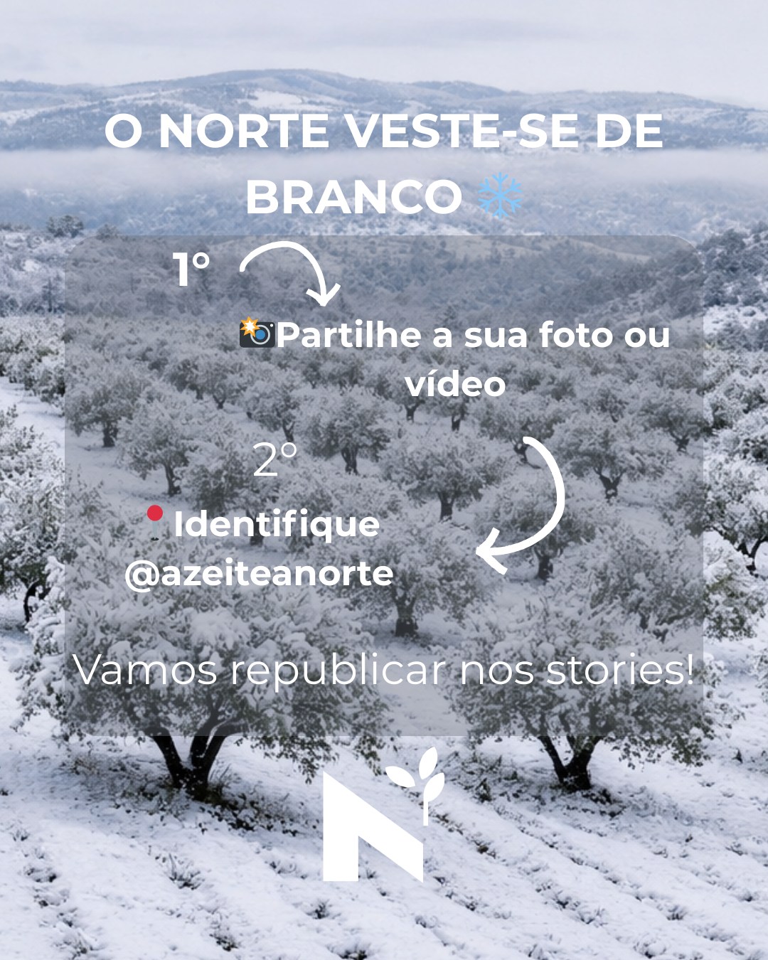 ❄️ O Norte veste-se de branco e nós queremos ver pelos seus olhos!
Enquanto o nevão transforma Trás-os-Montes e o Alto Douro numa verdadeira paisagem de postal, os nossos olivais ancestrais ganham um manto branco que raramente vemos.
E você? Está a viver este momento mágico?
📸 Partilhe connosco as suas fotografias e vídeos da neve no Norte de Portugal!
Queremos sentir o frio, ver as paisagens transformadas e celebrar juntos a beleza crua desta terra que tanto amamos.
Como participar:
✨ Publique no seu story ou feed
✨ Identifique-nos @azeiteanorte
Vamos partilhar as imagens nos nossos stories e celebrar o Norte autêntico.
Porque há beleza em cada estação ❄️🫒
#nortenevado #azeiteanorte #trasosmontescomneve #altodouro #neveemportugal #nortedeportugal #paisagensdeportugal #invernononorte #olivaiscomneve #azeiteportugues #turismorural #nevaoportugal #mirandadodouro #braganca #vinhais #mogadouro #macedodecavaleiros #carrazedadeansiães #valpaços #alfandegadafe #visitportoandnorth