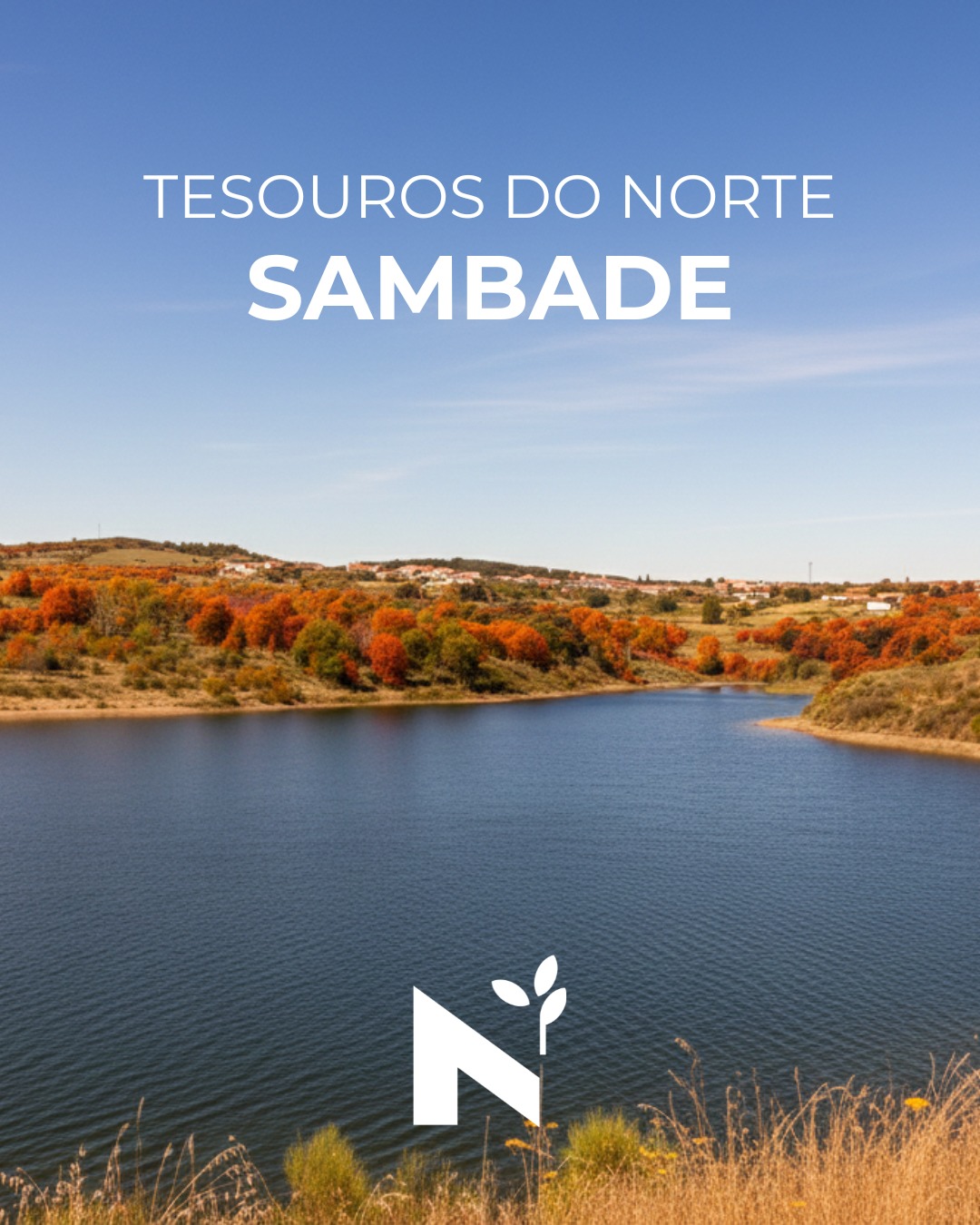 ✨ Tesouros do Norte — Sambade
Igreja Matriz de 1798, serra de Bornes a 1.200 metros com vista panorâmica, trilho pela montanha e serra, entre castanheiros centenários, abadia que ensinou gerações desde o século X, folar de carne artesanal e a tradição dos cardadores de lã.
Sambade prova que o Norte é memória tecida em altitude. 🏔️
Guarda para a tua próxima escapadinha!
#azeiteanorte #azeite #trasosmontes #nortedeportugal #turismoanorte #turismodenatureza #turismorural #olivoturismo #oliveoilturism #turismogastronomico #gastronomia #gastronomy #portugal #slowtourism #portoandnorth #visitportugal #visitportoandnorth #slowlife #olivoturismoportugal #oleoturismoportugal #alfandegadafe #sambade #serradebornes #aldeiasdeportugal #tesourosdonorte #trilhosnorte #viagenscomsabor #gastronomiaregional #descubraportugal #patrimonioportugues