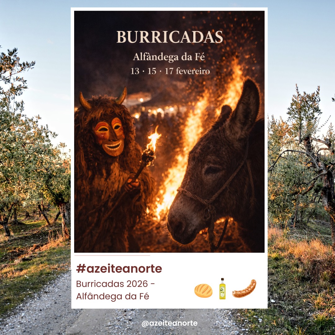 🫏 Burricadas 2026 | Entrudo com identidade em Alfândega da Fé
Em fevereiro, Alfândega da Fé volta a assumir-se como território de Entrudo vivido à séria — com sátira, memória rural e participação popular. As Burricadas 2026 regressam nos dias 13, 15 e 17 de fevereiro, celebrando uma das expressões mais genuínas do património cultural imaterial transmontano.
Aqui, o burro é mais do que figura central: é símbolo de um passado agrícola, de humor popular e de crítica social feita em comunidade. Entre a Noite do Coice, o grande cortejo das Burricadas e a Queima do Entrudo, a vila transforma-se num palco coletivo onde tradição, criatividade e irreverência caminham lado a lado.
🔥 Uma festa feita pelas pessoas e para as pessoas, onde associações, escolas e coletividades mantêm vivo o espírito do Entrudo, reforçando laços comunitários e afirmando a identidade cultural do concelho.
📍 Alfândega da Fé
📅 13, 15 e 17 de fevereiro de 2026
🌿 Mais do que Carnaval, as Burricadas são expressão de território, memória e cultura viva — daquelas que se sentem na rua e não se explicam apenas em palavras.
#azeiteanorte #burricadas2026 #alfandegadafe #entrudo #tradicaopopular #culturatransmontana #patrimonioimaterial #nortedeportugal #trasosmontes #altodouro #azeite #identidadeterritorial #culturarural #festastradicionais #vivernorte #carnal #slowtravel #turismorural #visitportugal #visitportoandnorth