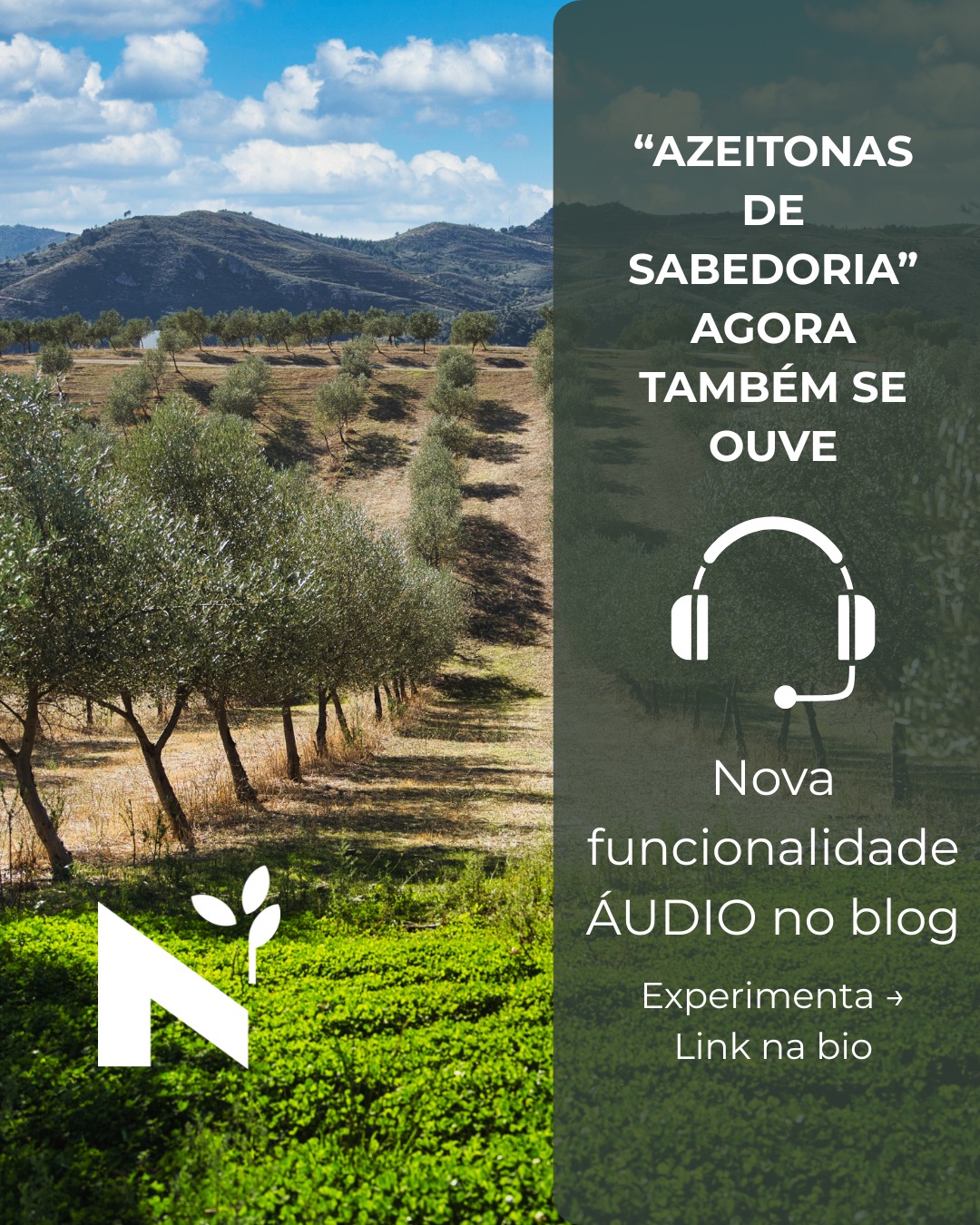 🎧 Áudio chegou ao blog da Azeite a Norte.
Agora já podes ouvir os artigos sobre azeite de Trás-os-Montes e Alto Douro, olivoturismo, azeite DOP, rotas gastronómicas e inovação no setor oleícola.
Todos os posts estão disponíveis em formato áudio (PT e EN).
Basta clicar em “▶ Ouvir este artigo” e continuar a navegar enquanto escutas.
Porque o azeite não é só sabor.
É território.
É cultura.
É identidade.
🌿 Mais acessível
🌿 Mais digital
🌿 Mais próximo
Se não tens tempo para ler, leva o azeite contigo — em áudio.
🔗 Experimenta agora. Link na bio.
Trás-os-Montes e Alto Douro agora também se ouve.
#AzeiteANorte #TrasOsMontes #AltoDouro #AzeiteVirgemExtra #AzeiteDOP #Olivicultura #Olivoturismo #TurismoGastronomico #TurismoPortugal #NorteDePortugal #InovacaoDigital #ConteudoDigital #BlogAudio #PodcastBlog #AcessibilidadeDigital #GastronomiaPortuguesa #ExperienciasAutenticas #PortugalRural #oliveoiltourism #oliveoil #oliveoiltourismportugal #gastronomy #evoo