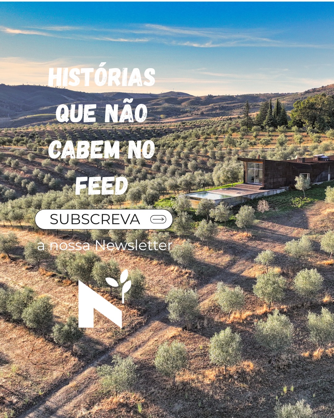 Há histórias que não cabem no feed.
E há lugares que não aparecem nos roteiros habituais.
Quando vieres ao Norte, vamos mostrar:
- Onde parar.
- Onde provar.
- Onde simplesmente ficar mais um pouco.
A nossa newsletter é para quem planeia escapadinhas com tempo, curiosidade e vontade de descobrir.
📩 Subscreve no link do perfil e começa a preparar a tua próxima visita.
#azeiteanorte #trasosmontes #altodouro #olivoturismo #azeiteportuguês #produtoreslocais #território #turismoportugal #visitportugal #descubraportugal #destinoportugal #nortedeportugal #visitdouro #visitportoandnorth #escapadinha #fimdesemana #roteirosportugal #viagensportugal
#turismorural #turismogastronómico #saboresdeportugal #gastronomy #gastronomiaportuguesa #experiênciasautênticas #primaveraportugal #travelportugal #hiddenportugal #portugalautêntico
