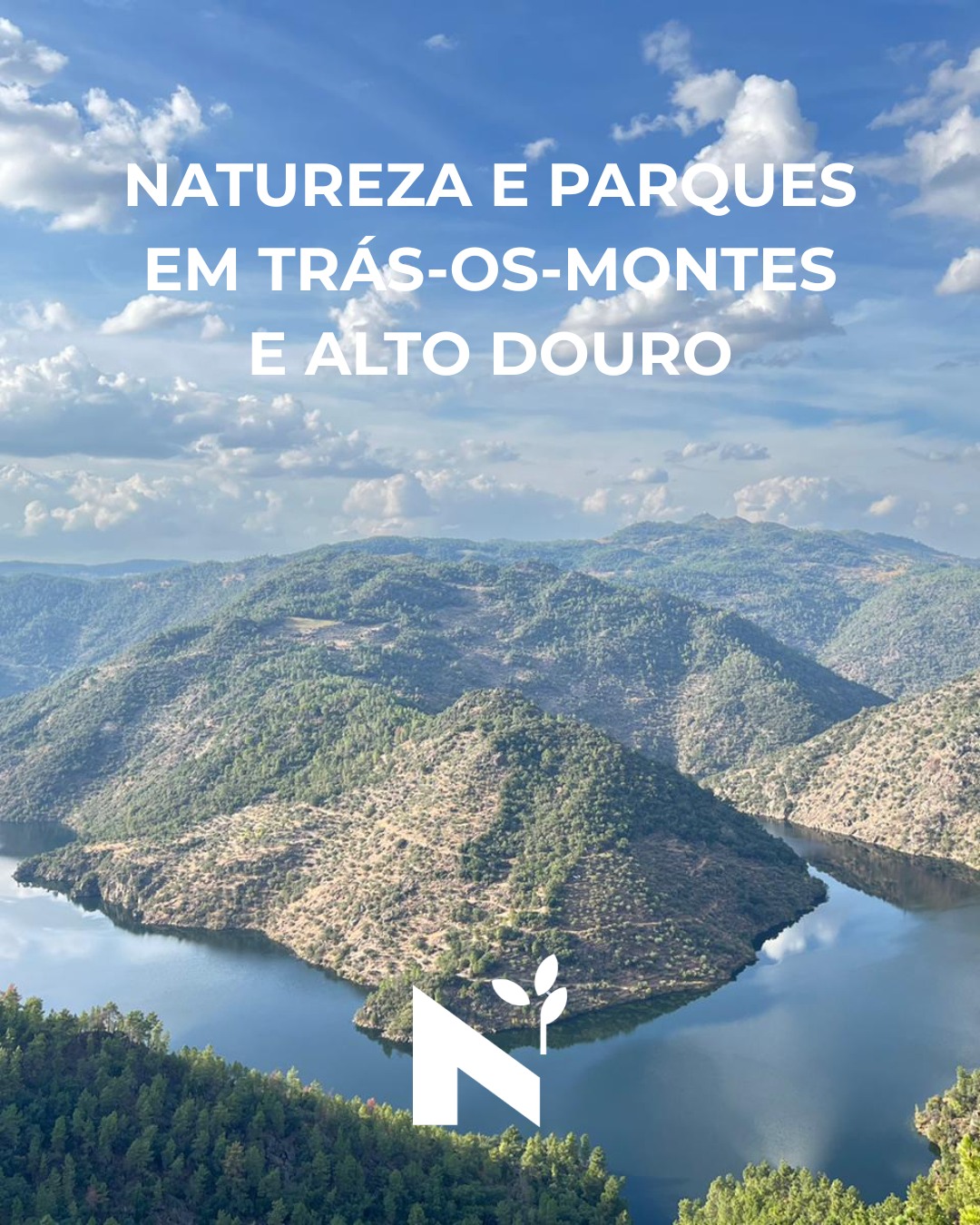 🌿Descobre 2 Parques Naturais, 1 Parque Natural Regional e 1 Geoparque Mundial da UNESCO em Trás-os-Montes e Alto Douro!
Lobos ibéricos em Montesinho. Abutres-do-Egipto a planar sobre as arribas do Douro. Rochas com 400 milhões de anos em Macedo de Cavaleiros. Passarelas sobre o rio Tinhela em Murça.
E por entre tudo isto — olivais centenários que moldam a paisagem há séculos. 🫒
Se procuras uma viagem com propósito, longe do turismo de massas, esta região surpreende-te em cada curva da estrada.
✨ Novo artigo no blog com tudo o que precisas de saber para planear a tua visita à natureza de TMAD — trilhos, fauna, o que fazer em cada parque e dicas práticas.
🔗 azeiteanorte.pt/blog
#AzeiteaNorte #TrásosMontes #AltodoDouro #TMAD #NaturezaPortugal #TurismoNatureza #ParqueNaturalMontesinho #DouroInternacional #GeoparqueTerrasdeCavaleiros #ValedoTua #TrilhosPortugal #VisitPortugal #TurismoSustentável #ViajarComPropósito #NordesteTransmontano #LoboIbérico #Birdwatching #UNESCO #AzeitePortugal #OlivalCentenário