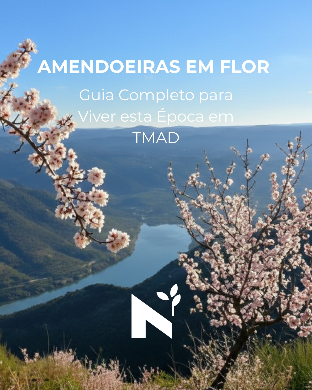 Este fim de semana, algures entre o Douro
e o planalto transmontano, há campos em flor
à tua espera. 🌸
5 municípios. Feiras, concertos, trilhos,
posta à mirandesa e amêndoas cobertas
de Moncorvo para levar para casa.
O roteiro está feito. As datas estão confirmadas.
Faltas mesmo só tu.
🔗 Guia completo — azeiteanorte.pt/blog
Já foste ver as amendoeiras em flor?
Conta-nos nos comentários 👇
#amendoeirasemflor #trasosmontes #altodouro #douro #roteiroportugal #azeiteanorte #visitportugal #weekendtrip #portugal #nortedeportugal #turismoanorte #turismodenatureza #turismorural #olivoturismo #oliveoilturism #turismogastronomico #gastronomia #gastronomy #amendoa #sustentabilidade #portugal #slowtourism #portoandnorth #visitportoandnorth #slowlife #mogadouro #torredemoncorvo #vilaflor #vilanovadefozcôa #freixodeespadaàcinta