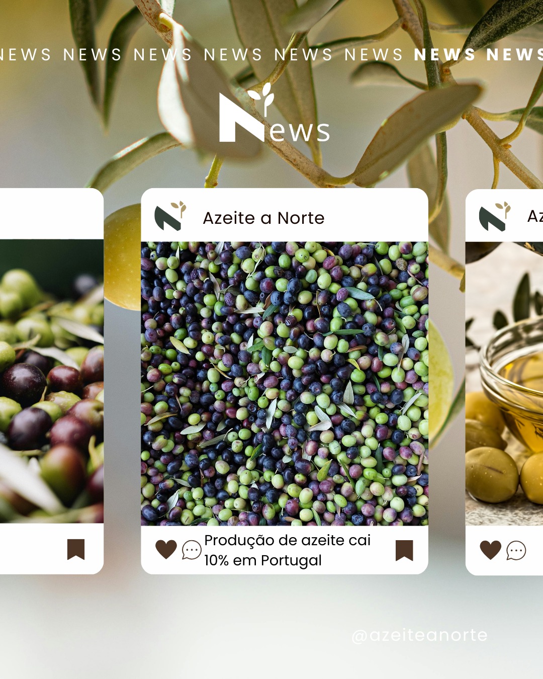 Qualidade acima da quantidade: O compromisso do nosso terroir. 🌿
A campanha oleícola 2025/2026 confirma um cenário desafiador para a olivicultura em Portugal, com uma redução de cerca de 10% na produção de azeite face ao ano anterior, impactada pelas condições climáticas adversas e por variabilidade de rendimento em olivais.
Apesar da quebra na quantidade, a qualidade do azeite português mantém-se ao mais alto nível, com uma percentagem significativa de azeite virgem extra e elevados padrões organoléticos registados na extração. Esta resiliência evidencia a força do setor e a capacidade de adaptação dos produtores, especialmente em regiões como Trás-os-Montes, onde o saber tradicional alia-se a práticas modernas de cultivo.
Num contexto em que o clima desafia as safras, a excelência da produção permanece como diferencial competitivo do azeite nacional — um reflexo do trabalho dos olivicultores e da autenticidade das nossas regiões.
🌍 Portugal continua a afirmar-se no mapa do azeite de qualidade, apesar das adversidades climáticas.
💛 Trás-os-Montes e outras regiões olivícolas mantêm a tradição e a excelência.
👉 Link na bio para ler a análise completa!
#azeiteanorte #productionazeite #azeiteportugues #oliveoilportugal #qualidadevirgemextra #trasosmontes #olivicultura #campanhaoleicola #saboresdonorte #produtosregionais #turismogastronomico #territorio #nortenatural #patrimonioalimentar #oliveoilquality #azeitevirgemextra #sustentabilidade #portugalfood #gastronomiadeportugal #agriculturatradicional