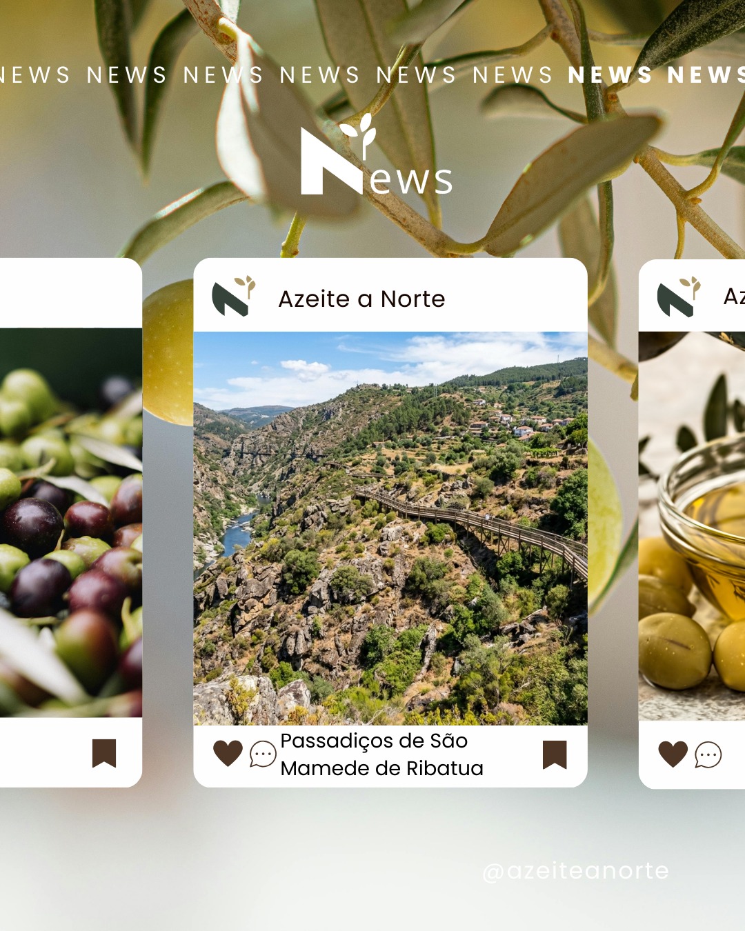 🌿 Um novo trilho acabou de nascer no Norte de Portugal — e já queremos que o experiencie.
A 29 de março, Alijó inaugura os Passadiços da Ribeira de São Mamede de Ribatua: 3,5 km de percurso entre a histórica ponte romana de Ribatua e a albufeira do rio Tua, no coração do Parque Natural Regional do Vale do Tua. 🏞️
Passadiços elevados, caminhos de terra batida, fauna ribeirinha, vinhas em socalcos e uma paisagem transmontana que não precisa de filtros.
A inauguração coincide com a 4ª edição do Tua Festival de Percursos Pedestres — e a caminhada inaugural é um percurso circular de 8 km que passa pelos novos passadiços. 🥾
Alijó já tem 20 trilhos homologados e mais de 200 km de caminhos sinalizados. Este é o mais recente — e promete.
👉 Link na bio para saber mais e planear a visita.
📍 São Mamede de Ribatua, Alijó, Trás-os-Montes
#PassadiçosTrásosMontes #ValedoTua #TuaFestival #Alijó #PercursosPedestres #TurismoNatureza #NortePortugal #TrásOsMontes #AzeiteANorte #Olivoturismo #TrilhosPortugal #VisitNorthPortugal #NatureTrail #TurismoPortugal #WeekendEscape #AltoDouro