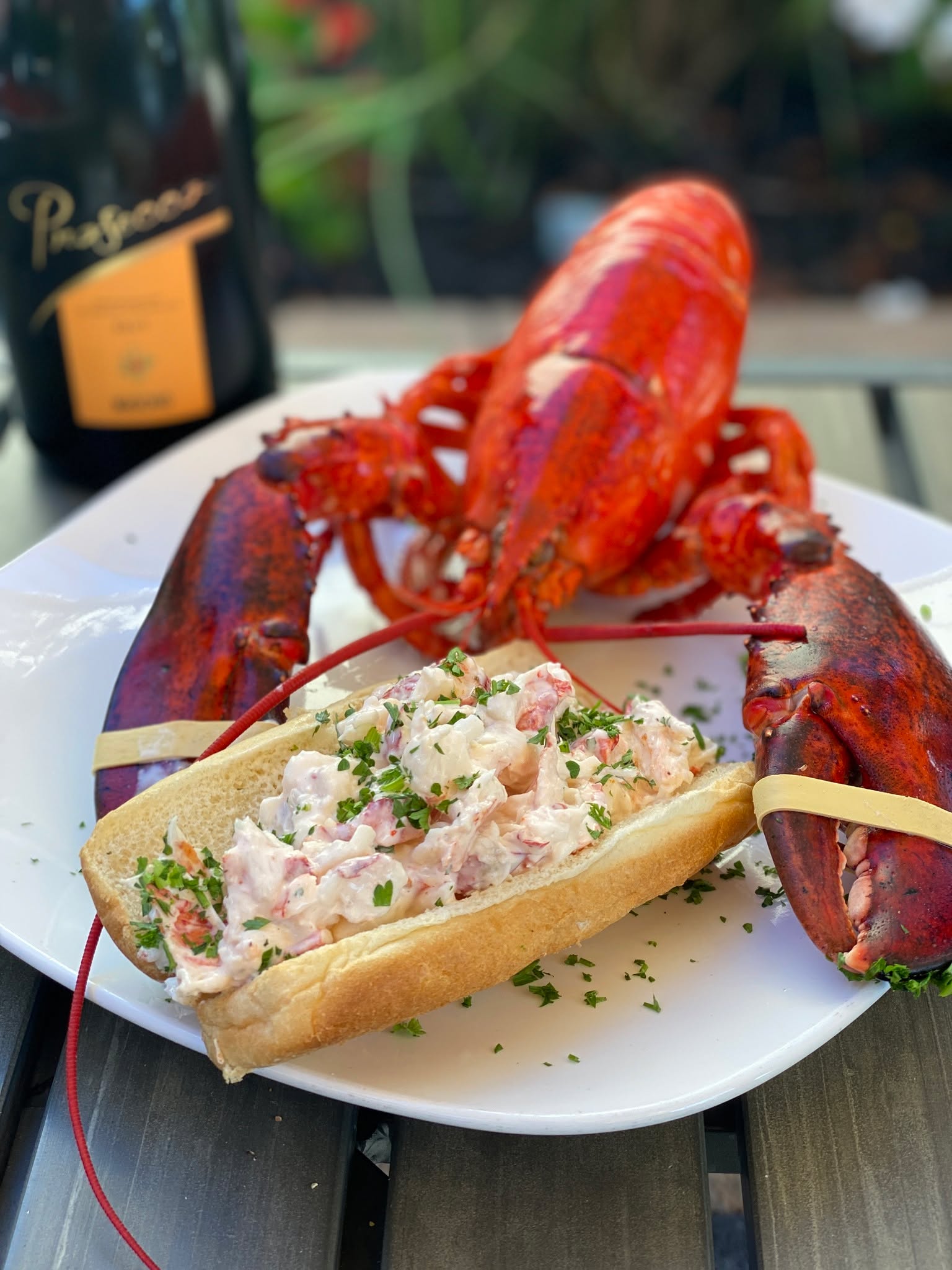 Patio season tastes better at Prestige. ☀️🍷
Crispy calamari, chilled rosé, buttery lobster rolls, and sunshine on the patio — this is what summer dining is supposed to feel like.
Join us outside for lunch, dinner, drinks, and fresh summer specials all season long.
📍Prestige Diner | New Providence
#PrestigeDiner #NewProvidenceNJ #PatioDining #OutdoorDining #NJFoodie #SummerDining #RoséSeason #LobsterRoll #CrispyCalamari #SupportLocalNJ