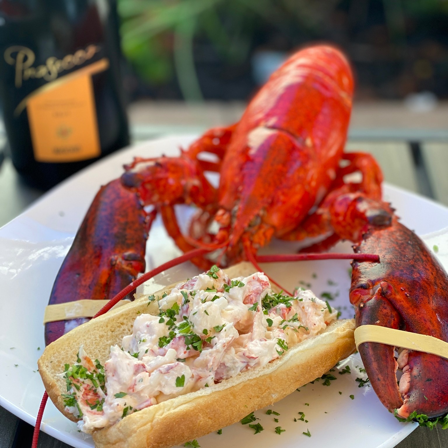 Dinner, drinks, and fireworks from the patio. 🎆✨
There’s no better seat for the show than outside at Prestige.
Join us on the patio, enjoy your favorite summer specials, and watch the sky light up over New Providence.
Seafood, drinks, summer nights, and fireworks — that’s patio season done right.
#PrestigeDiner #NewProvidenceNJ #PatioDining #FireworksNight #OutdoorDining #NJFoodie #SummerNights #LobsterRoll #SupportLocalNJ