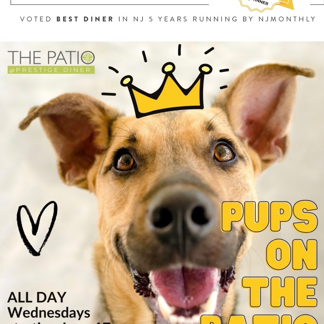 To our puppy customers: if you had enough of sharing your house, in the dark, with your humans, just bring them out for diner at the patio and show them some love.