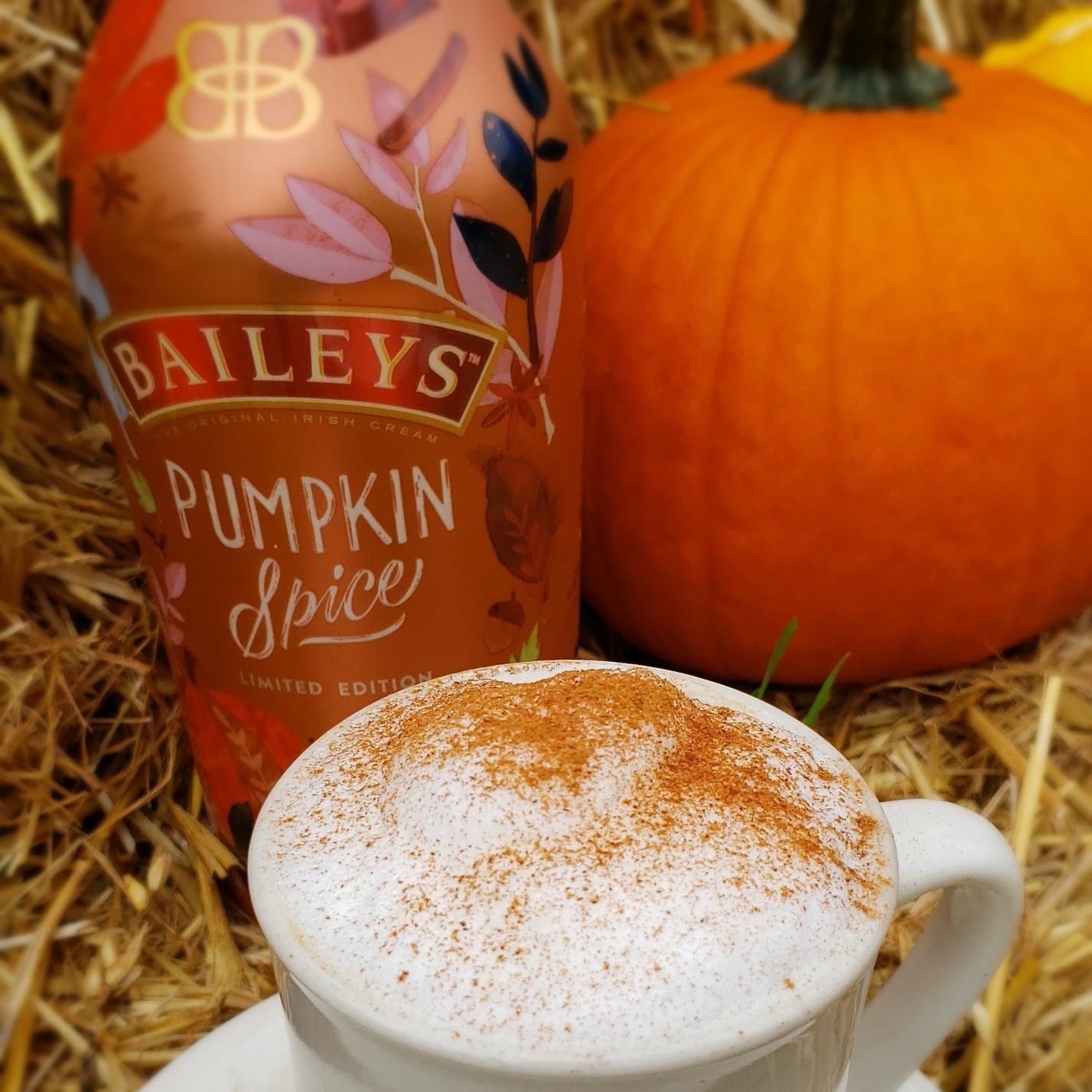 🎃🥞 Your fall cravings called. We saved you a table.
Fluffy PUMPKIN PANCAKES topped with caramel braised fresh apples and a dusting of powdered sugar paired with a cozy cup featuring BAILEYS PUMPKIN SPICE. ☕🍂
A little pumpkin, a little indulgence, and every reason to linger over brunch.
Who’s joining you? Tag your brunch date and make it a Prestige morning. 🧡
📍 Prestige Diner | New Providence
#PrestigeDiner #PumpkinPancakes #PumpkinSpice #newprovidencenj #NJBrunch