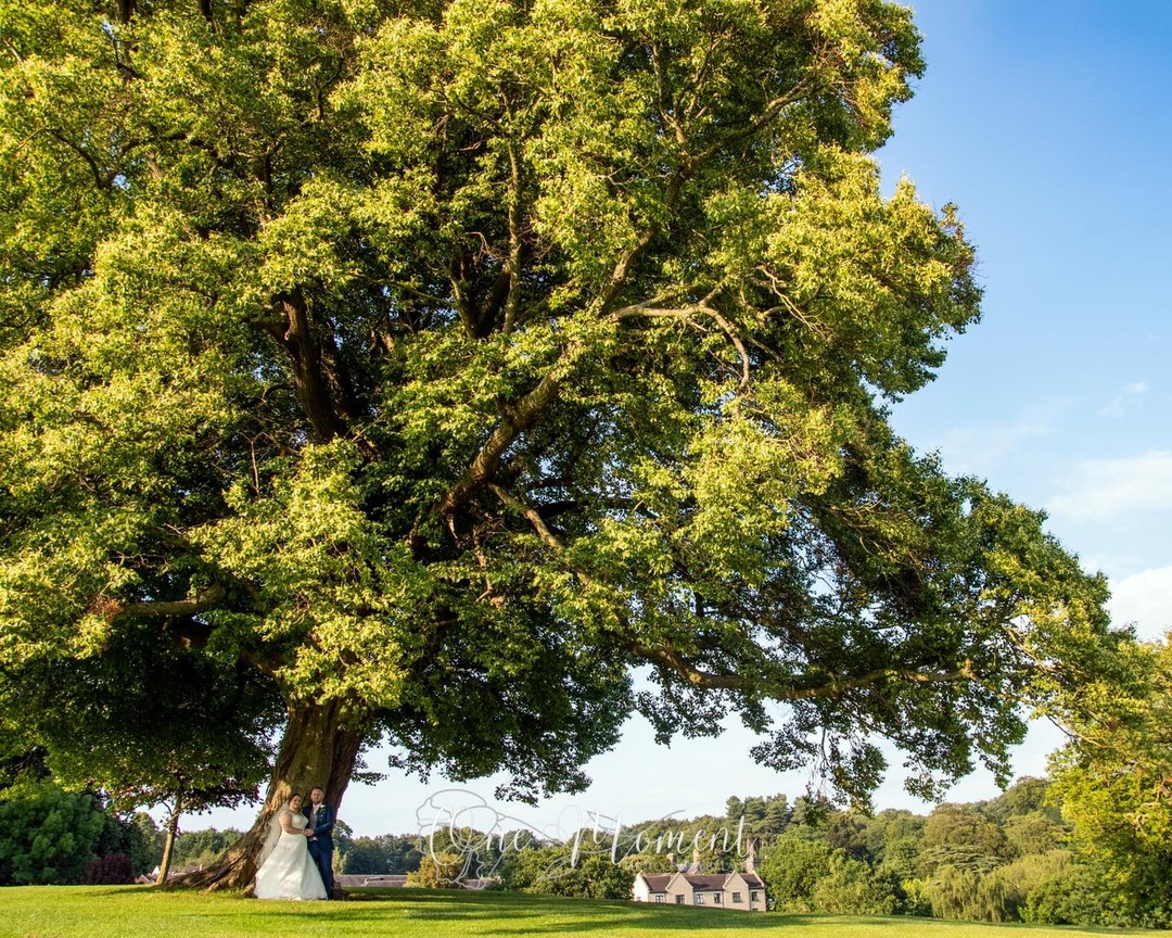 Happy 1st Wedding Anniversary Henry & Mel ♥️
#bride #groom #BrideAndGroom #wedding #WhiteWedding #derbyshire #breadsallpriory #FirstAnniversary #nikon #phothgraphyfarmer #weddingphotographer #eastmidlands #weddingphoto