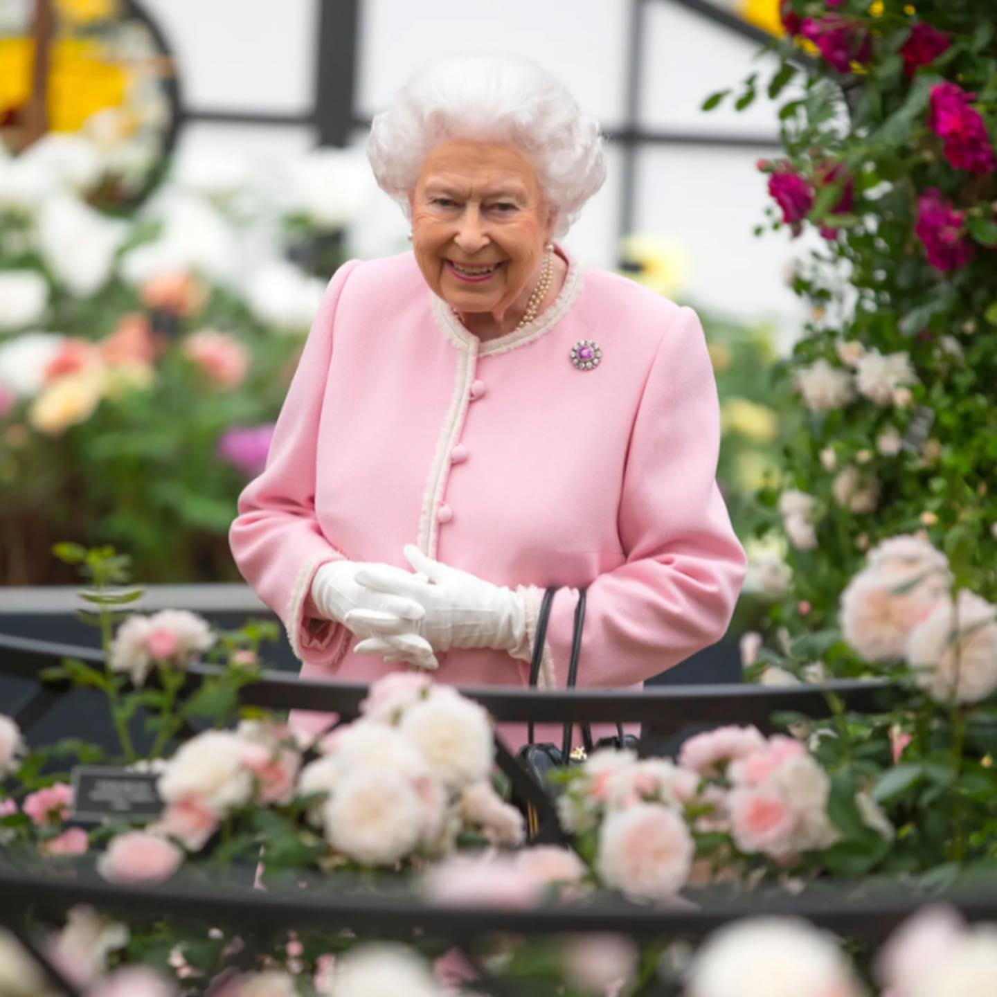 RIP our beautiful beloved Queen 🤍