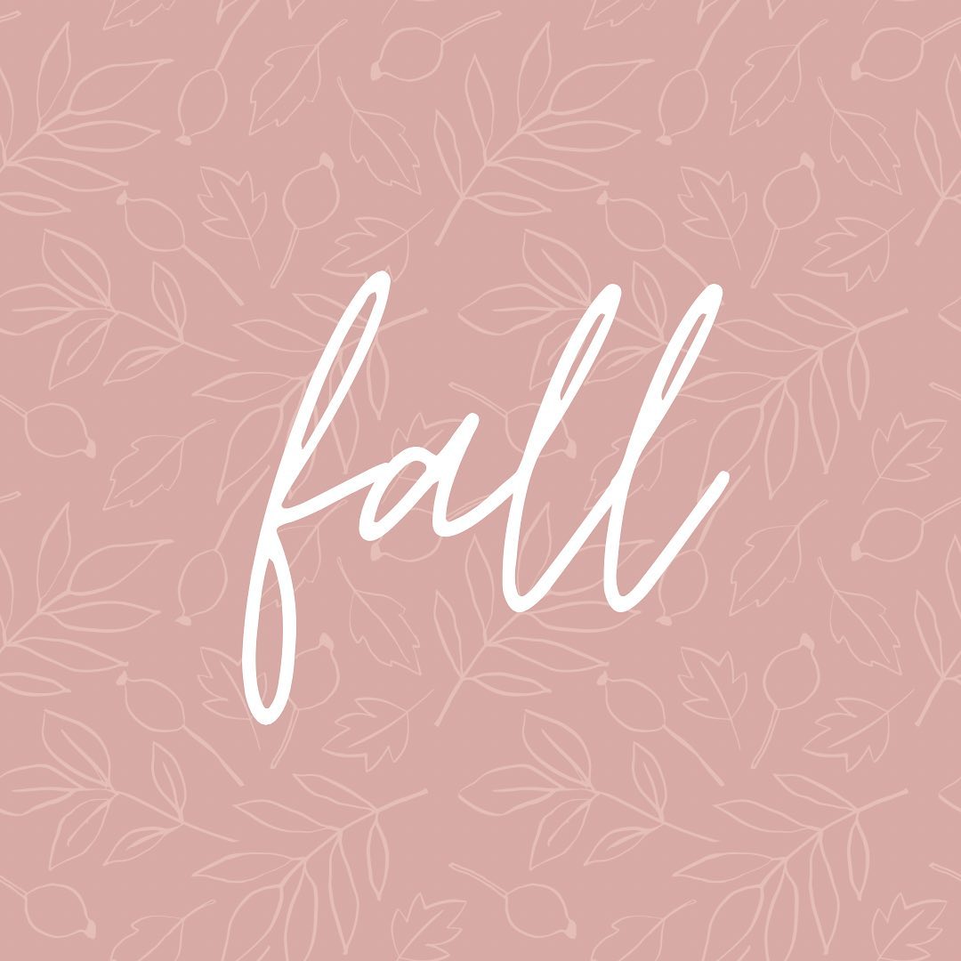 Well hello scarf weather! I’ve missed you ☺️