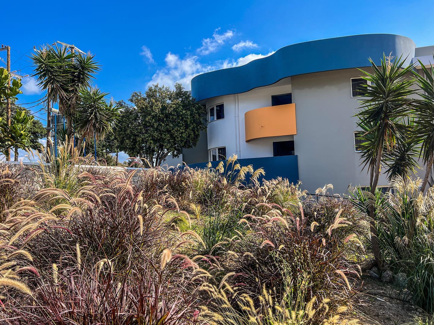 November Sunny Days ☀️
.
.
.
.
#virginia_family_resort #rhodes #greece #weather #sunny #november #endlesssummer #garden #gardendesign