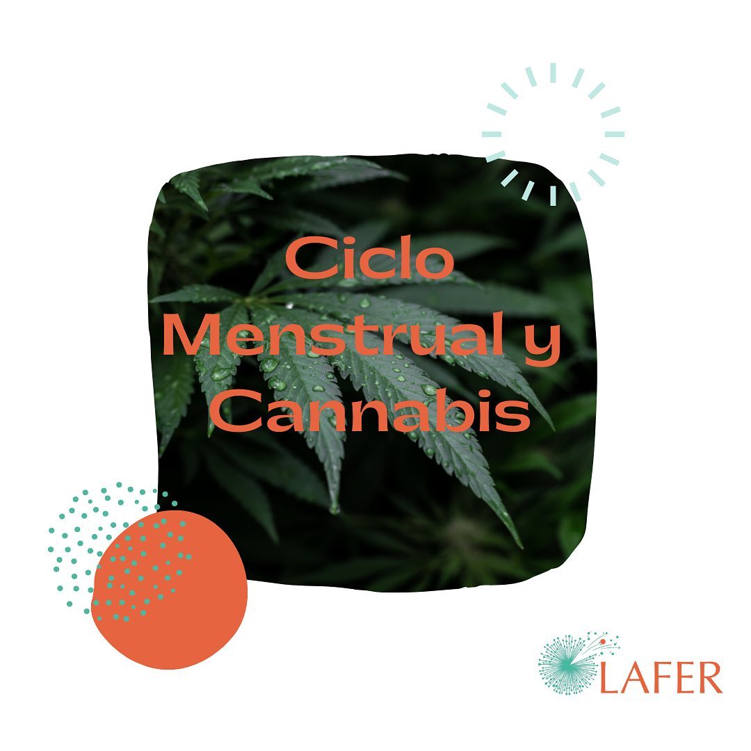 Toda la información del post son conclusiones a partir de estudios que tienen información limitada🤓
No hay estudios hechos en humanos que indiquen el efecto real y específico según qué se consume y cuánto. Los estudios que hay están hechos en animales y/o en base al consumo de la población (que generalmente se hacen cuando hay consumo problemático y no sólo se consume cannabis sino otras sustancias)🧠
Hay diferencias entre el consumo a través de combustión o vaporización y el consumo de aceite, además de que los aceites pueden tener distintos procesos y porcentajes de thc y cbd. 🌱
Por lo cual lo que se puede inferir es que el cannabis afecta al ciclo menstrual y a la fertilidad pero no sabemos exactamente cómo, en qué cantidad y según que manera de consumirlo, y también que hay síntomas del ciclo menstrual que mejoran al usar componentes específicos del aceite de cannabis. 👀
Las guías recomiendan que si vas a consumir aceite de cannabis (que es lo más saludable, ya que la combustión siempre afecta) te asesores bien, averigues su cromatografia (análisis de las cantidades de sus componentes) e idealmente consultes con unx médicx inscriptx en REPROCAN para que te pueda asesorar y acompañar de cerca. Durante el embarazo y la lactancia no se recomienda la combustión de ningún tipo, solo se recomienda el consumo de aceite de cannabis con una muy baja concentración de thc y bajo supervisión.📝
Si tenes alguna duda relacionada al tema podes dejarla en comentarios 👇🏼
#cannabiscommunity #ciclomenstrual #ciclomenstrualconsciente