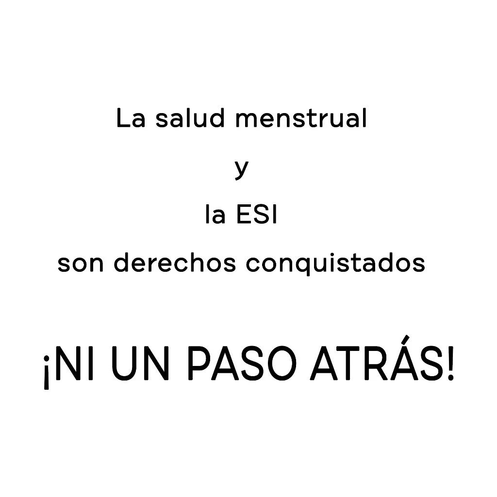 A pocos días del balotaje, lxs trabajadorxs de salud menstrual y ESI de todo el territorio argentino nos acuerpamos para rechazar el fuerte avance de los discursos machistas, homofóbicos y fascistas de la derecha argentina bajo el nombre de LLA. Creemos importante no permanecer indiferentes porque consideremos que sus propuestas atentan contra los derechos adquiridos en los últimos años, tras una ardua lucha democrática y de consenso.
Donde sus propuestas no contemplan la labor social y de economía circular a quienes dedicamos y sustentamos a nuestras familias y hogares.
Desde nuestros espacios como educadoras/xs, formadoras/xs y trabajadoras/xs en materia de salud menstrual y ESI, afianzamos nuestro compromiso a seguir construyendo un país que garantice:
• El acceso a la salud pública y gratuita en todo el territorio argentino.
• La gratuidad de productos de gestión menstrual y capacitaciones en manos de educadoras/xs menstruales.
• La continuación del dictado de ESI, Educación Sexual Integral en todas las instituciones educativas del territorio argentino.
• Acceso al aborto seguro y gratuito, respeto por la Ley 27.610 de interrupción Voluntaria del Embarazo.
• Promoción de políticas públicas que favorezcan a la igualdad de género, la eliminacion de la brecha salarial y la violencia de género.
• Protección a la industria nacional, sus pymes y emprendimientos.
Rechazamos también, los discursos de odio hacia la comunidad LGTBIQ+, la eliminación del Ministerio de Mujeres, Géneros y Diversidad, y la negación del cambio climático.
Lo decimos con la voz y lo gritamos con y desde el útero
¡MILEI NO!
¡VILLARUEL NO!
#mileino