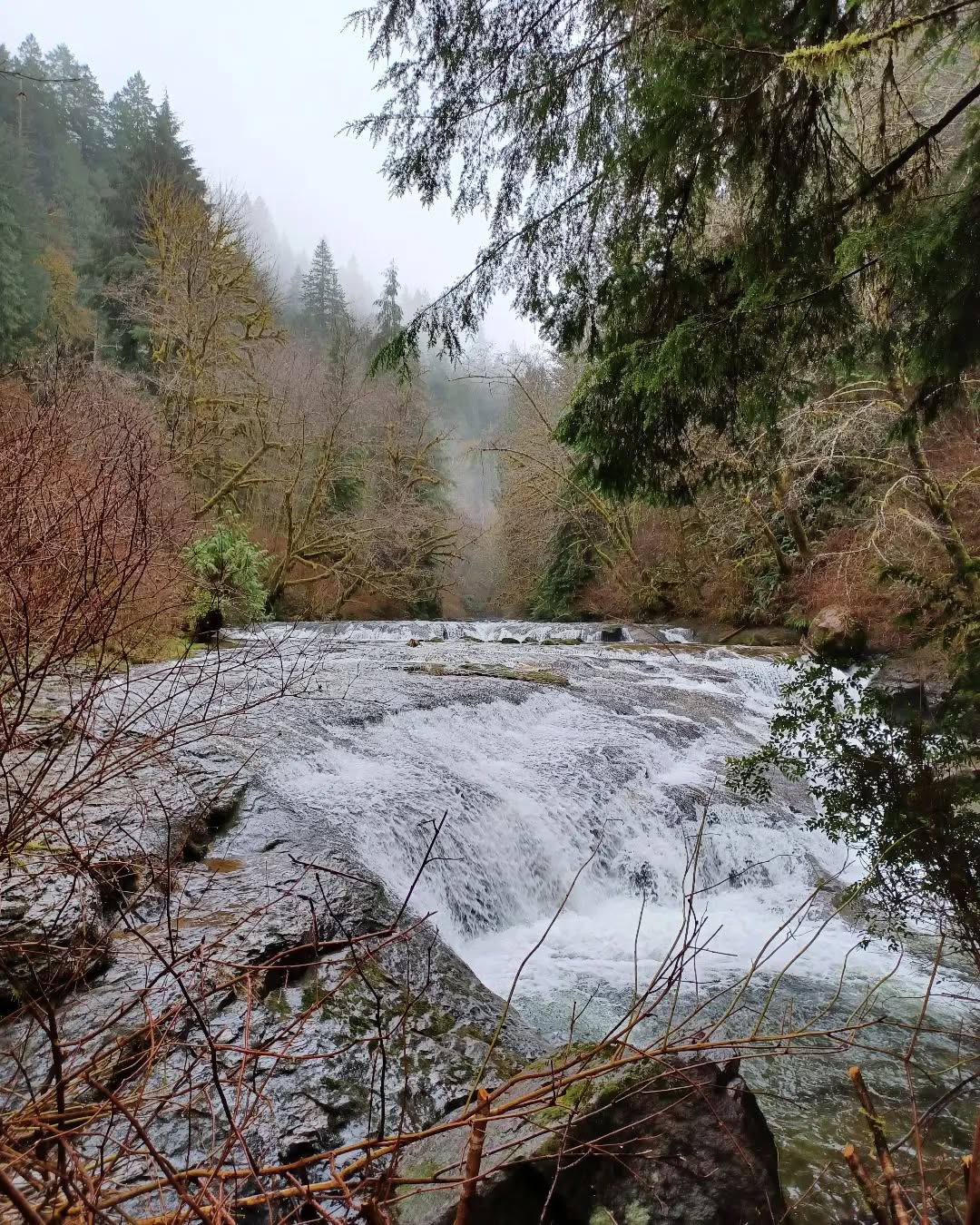 It's ok to step back and spend some time just being in the world. Your people will still be there when you get back. #getoutside #wheresyourwild