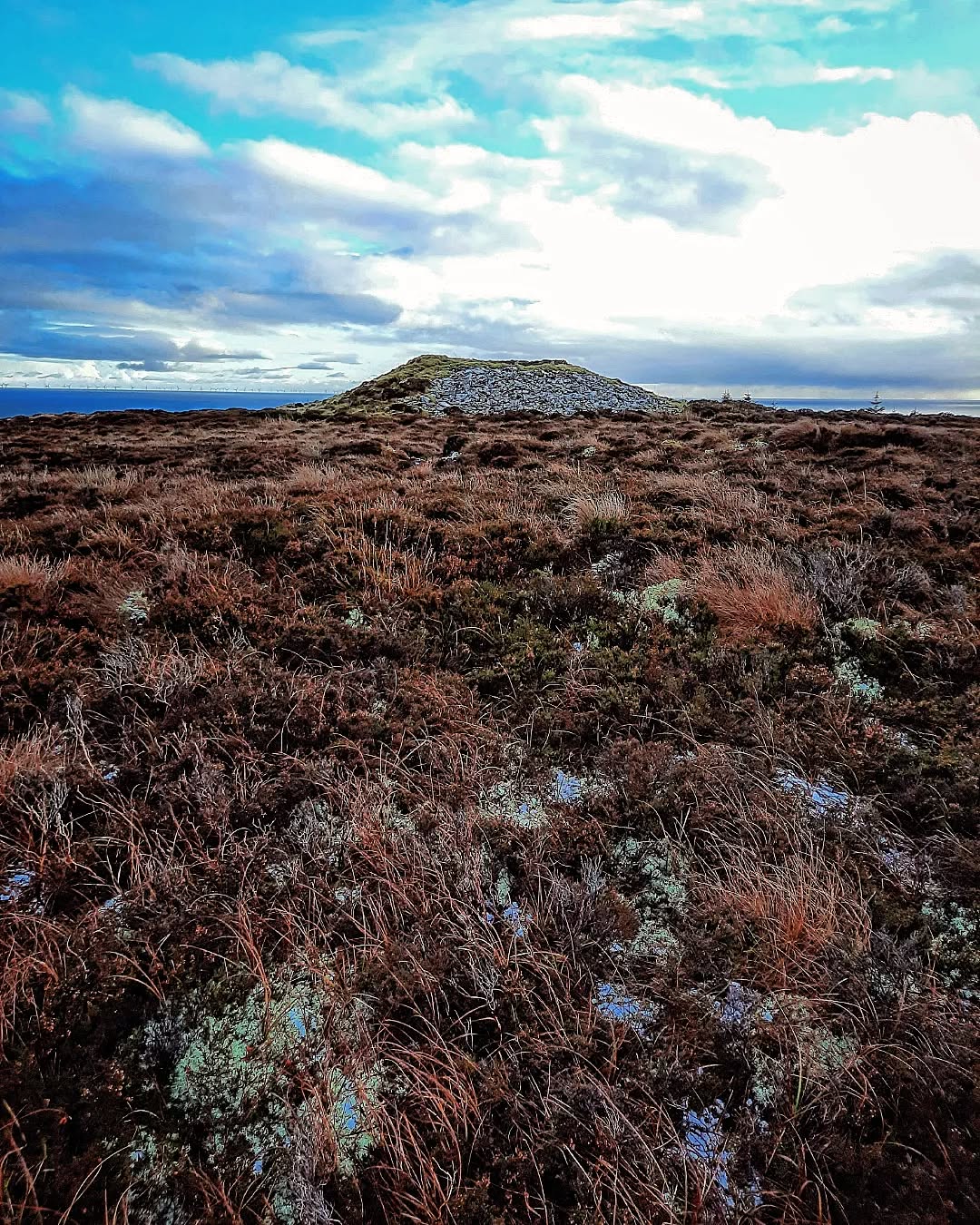 #tbt to a lovely boxing day walk to Yarrows Archaeological Trail with @scotchcrofter
#yarrowsheritagetrust #yarrows #yarrowsarchaeologicaltrail #caithness #archaeology