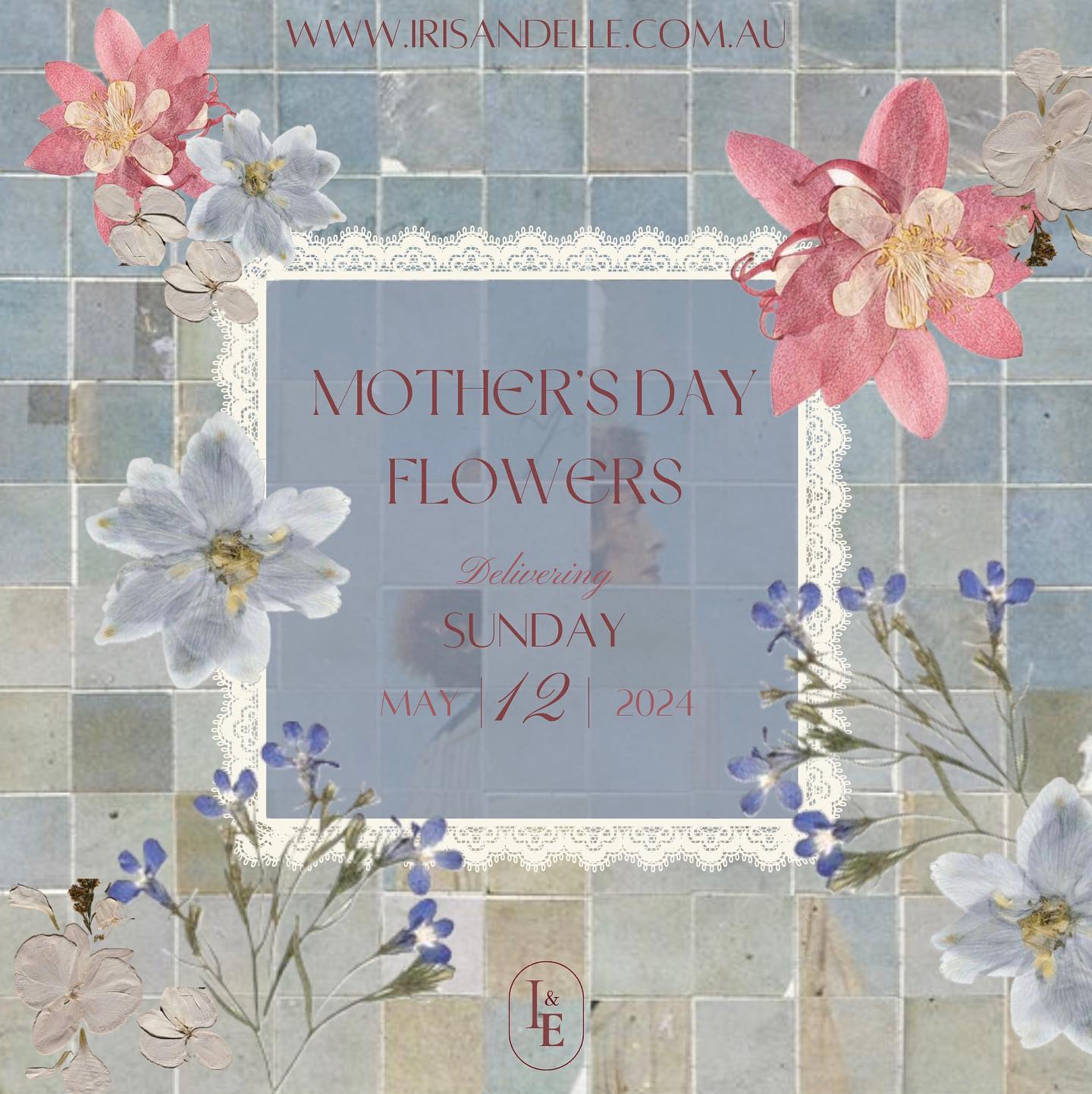 Our Mother’s Day collection is live and ready for preorder for Saturday 11th & Sunday 12th delivery 🤍
Preorder before Monday May 6th for 10% off using code MDAY10 at checkout via irisandelle.com.au
#brisbaneflorist #mothersdaybrisbane