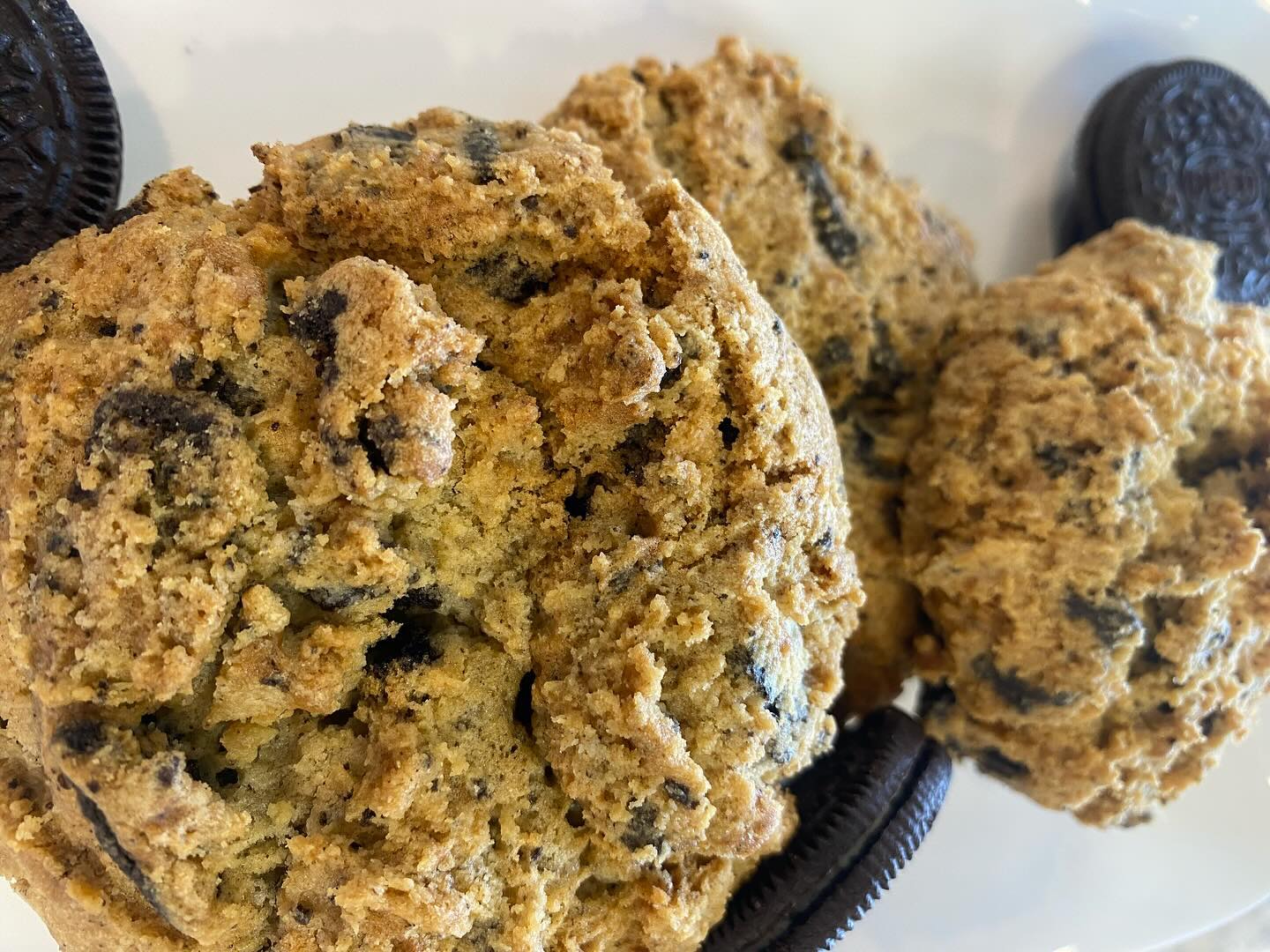 Are you obsessed with Brioche’s cookies?
In love with Oreos?
Can’t choose between the two?
Well now you don’t have to! Get your glass of milk ready & your taste buds amped for Brioche’s new tasty delight: The Cookie Monster 🍪!!
Stop by now to claim your new addiction 😋
#cookiemania #ilovecookies #cookiemonster #yesplease
