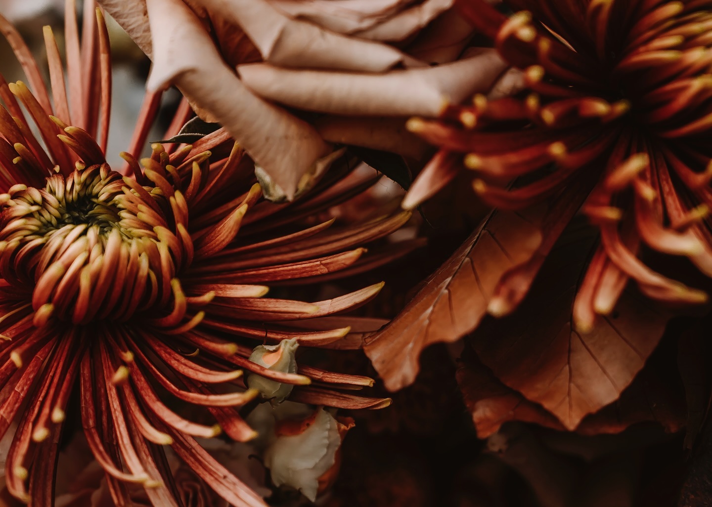 M E I N E V I S I O N ♥
Ich sehe Magie, egal wo ich hinschaue. Ich sehe pure Emotionen in den Augen. Ich sehe die noch so kleinen Wunder. Ich sehe und spüre die Liebe zwischen zwei verliebten Seelen. Ich sehe dich als schönste Seele der Welt. .°˖✧
Schon so viele liebe Menschen durfte ich kennenlernen und begleiten. ♥ Danke an alle, die mich immer unterstützen und meine Arbeit so feiern!
Love you all! ♥
—-
Design und Gestaltung Website by @simply.ld
#branding #portraitphotography #couplegoals #shinysoul #newbornphotography #sisters #soulbusiness #reportage #coupleshooting #bestfriendshooting #gfreutisach #schmerikon