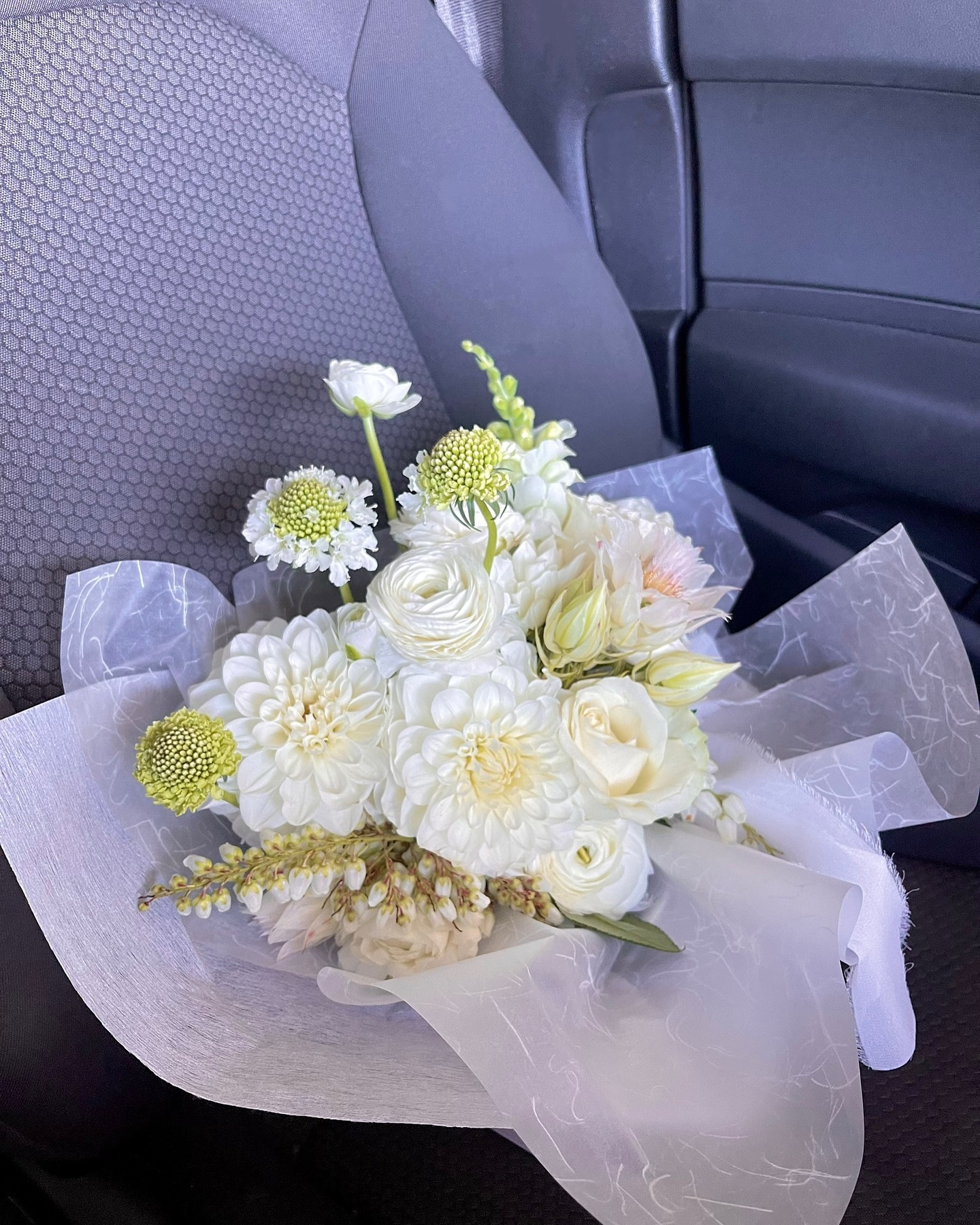 Passenger princess 🩰🕊️🎀💌