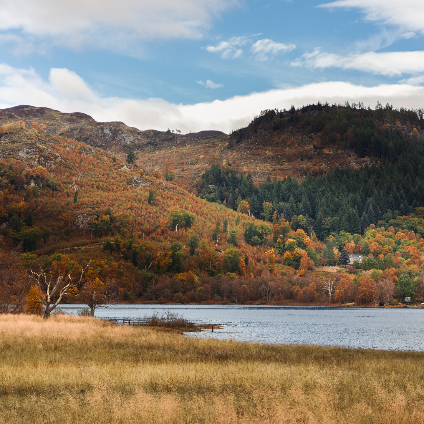 At Loch Achray - a small freshwater loch that sits between the larger Loch Katrine & Loch Venachar. Gotta offer this some tranquil view praise.
#loachachray #trossachs #autumninscotland #scotlandphotography #scottishlochs #scenicscotland #naturelovers #autumnreflections #landscapephotography #visitscotland #lovescotland #scotlandexplored #discoverscotland #scotlandlovers #scotlandshots #instascotland #scotlandbeauty #explorescotland #autumnvibes #naturephotography #scottishhighlands #wildscotland #scotlandtravel #beautifulscotland #scotlandwithlove #scotlandinspires #natureescapes #scenicviews