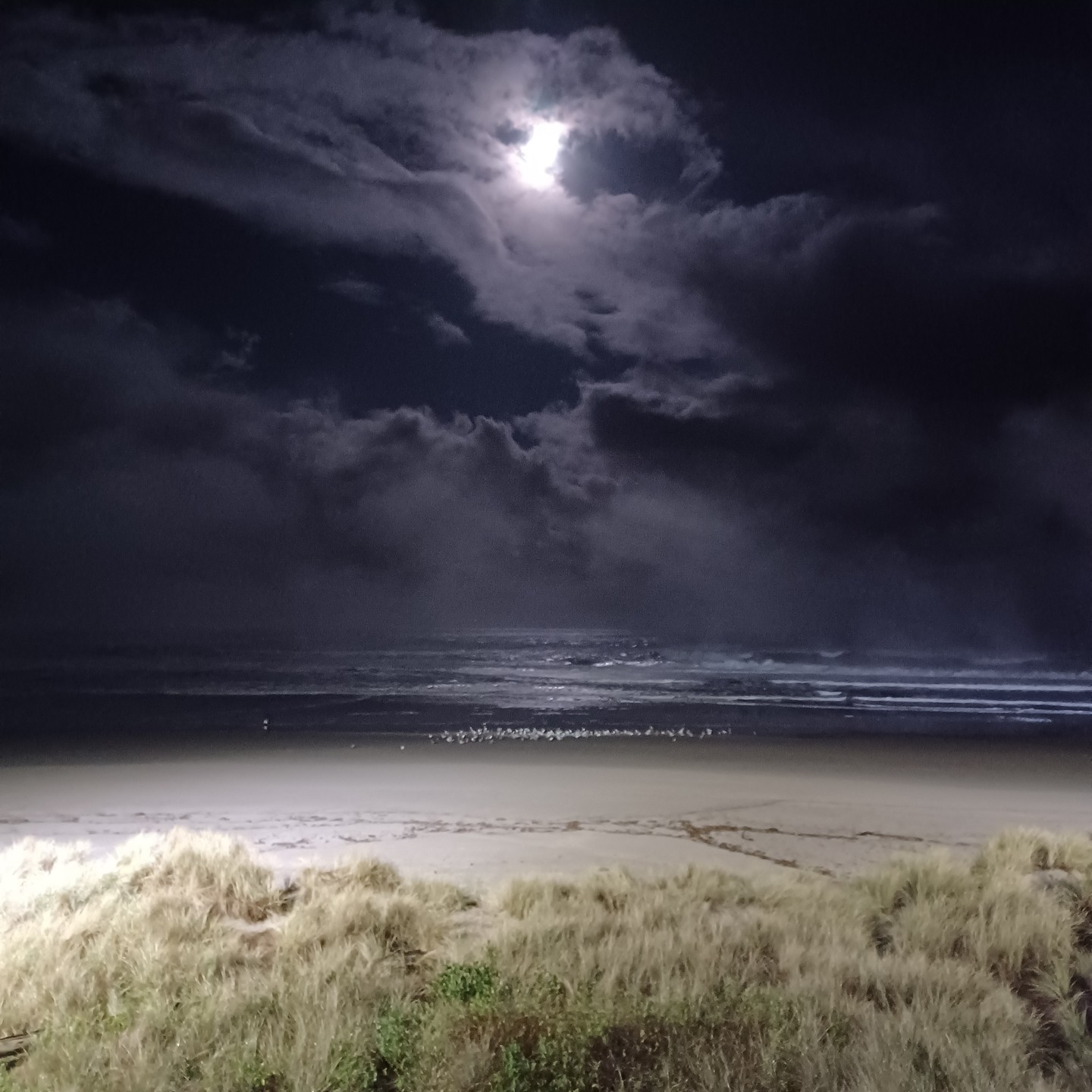 Hi Everyone! I have been on a social media break, but wanted to pop in to welcome all the new friends and followers that have joined this community in the alst two days. Each time my little essay about Paul and I is reprinted my in-box fills up with stories of love and gratitude. I see all of you and am honored that you share your stories with me. I hope you all find your own true loves and you are allowed to live a life of your own choosing. May the light of today's full moon illumiate a path to your best life. #loveneverfails #onelife