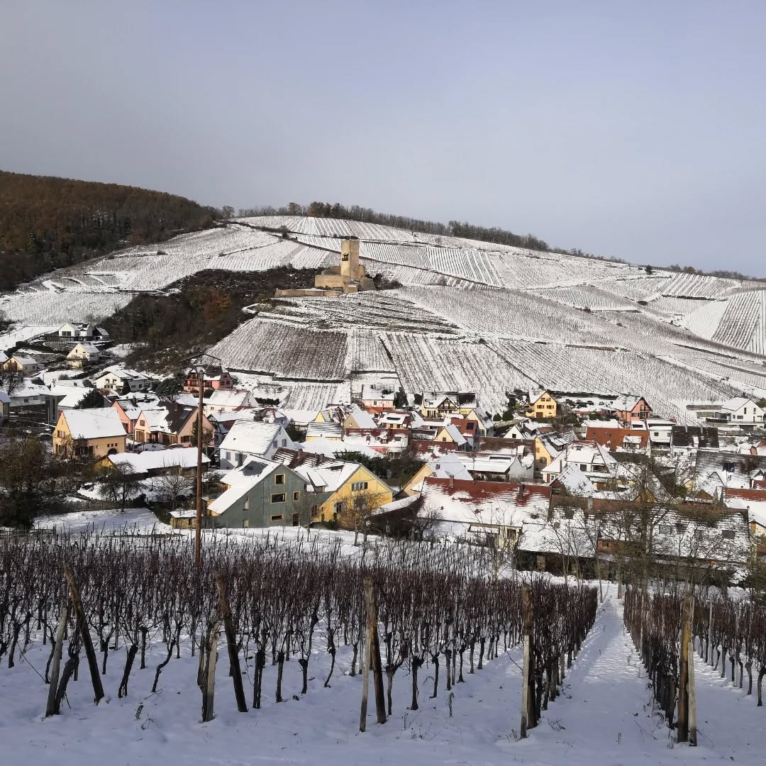 La neige est tombée sur katzenthal ❄️
