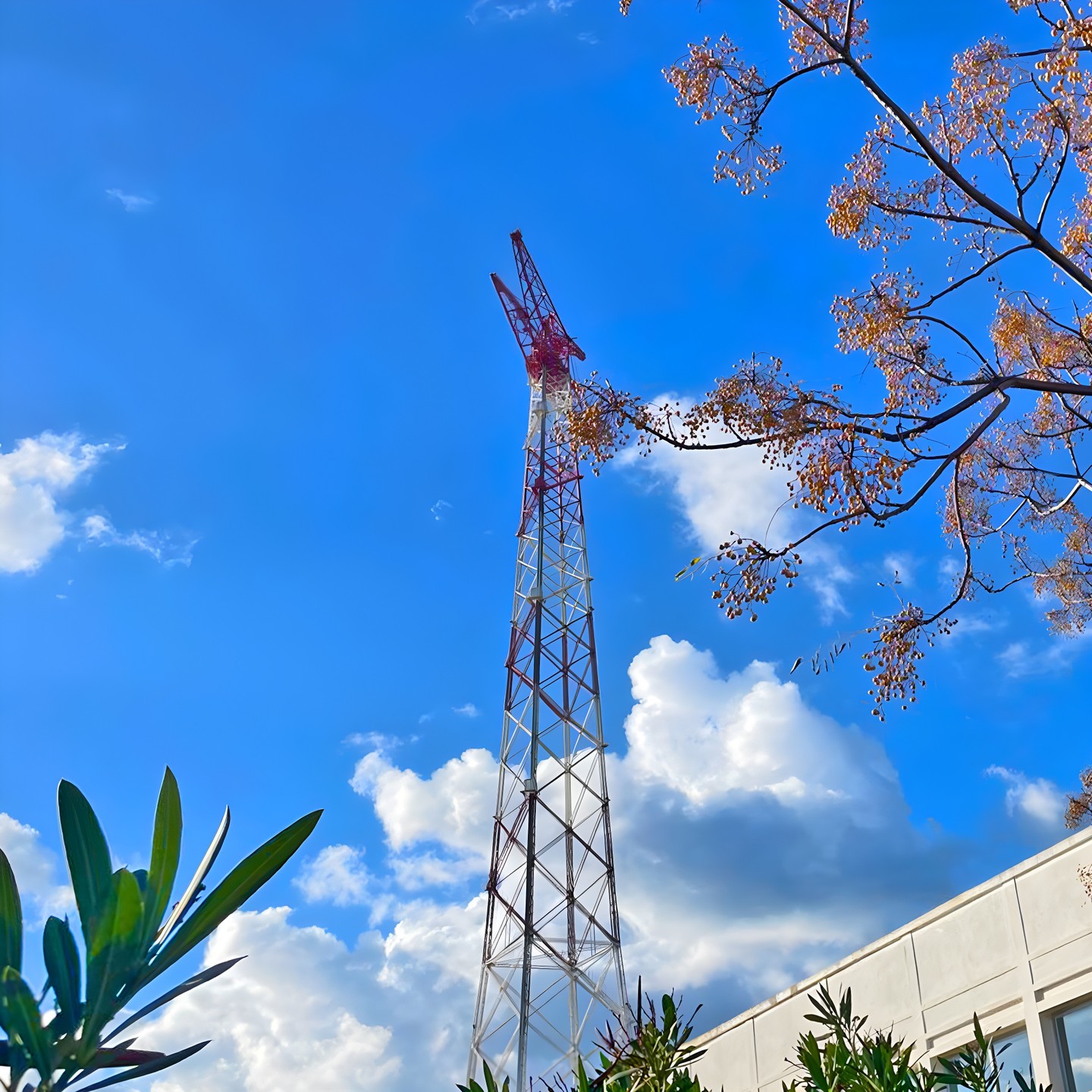 A beautiful mid-December day, the Pylon of Capo Peloro stands tall under a clear blue sky 🌤️. With Christmas just around the corner, this enchanting spot in Messina offers unique emotions.
.
.
.
#CapoPeloro #VisitCapoPeloro #TorreFaro #ThePylon #Messina #VisitMessina #Sicily #VisitSicily #DecemberInSicily #ChristmasInSicily