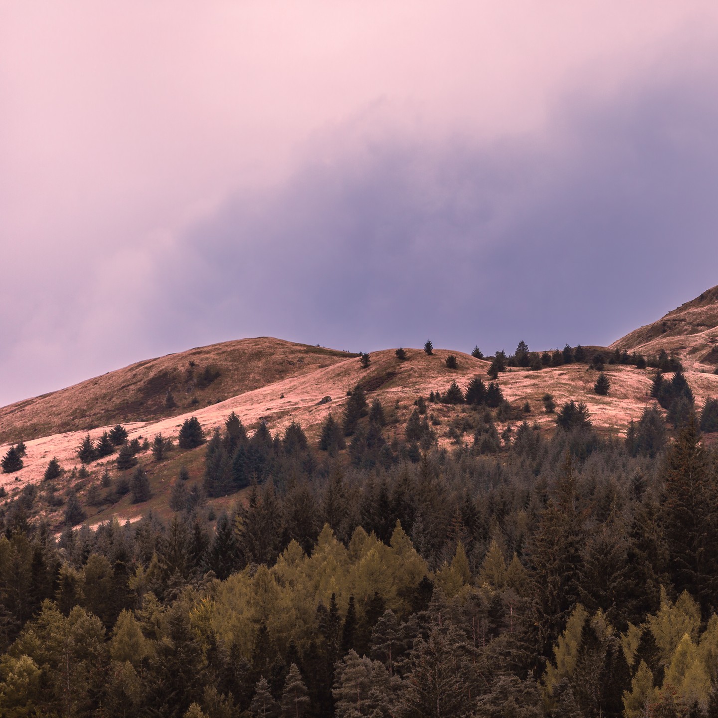 December 22nd: close enough to Christmas to pretend these are all actual Christmas trees. Let’s roll with it.
#lochlubnaig #mountainviews #festivescotland #christmasvibes #natureatitsbest #scottishhighlands #visitscotland #hiddenscotland #trossachsnationalpark #landscapephotography #scotlandlandscapes #autumnintowinter #wildscotland #scenicviews #scottishscenery #mountainescape #lovewinter #explorescotland #untamedscotland #naturephotography #christmastreesortof #outdoorvibes #holidayseason #scotlandadventures #wildernessculture #scotlandnature #beautifulscotland #uklandscapes #seasonalbeauty #winterwonderland