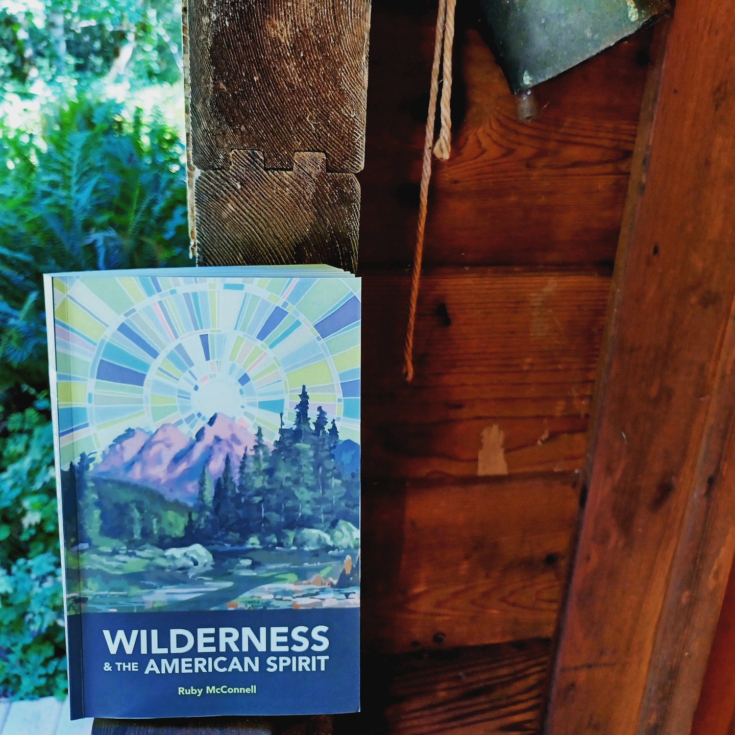 Wilderness and the American Spirit, my deep dive into the American relationship to the land, has found its way into the "Best of the Rest," in Ms. Magazine's annual roundup. Karla Strand, DPhil, MLIS curates the best reading list for, well, the rest of us.
(It is a vast, vast understatement to say that having my work recognized by an institution such as @ms_magazine is a pinnacle achievement for me.)
Check it out! https://msmagazine.com/2024/12/20/2024-best-books-feminist-lgbtq-women/
#nonfiction #books #bookstagram