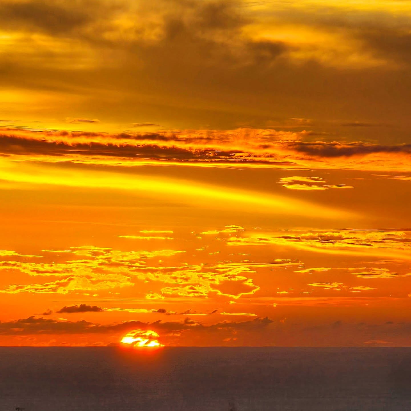 If I had to distill the mood of 2024 into one word, it would be grateful. This year, I made an intentional effort to capture and share more of the moments spent soaking up the beauty of my island home—a place that’s so much more than just a backdrop. It’s my sanctuary, where I reflect, dream, and let creativity take shape. Nature has a way of offering clarity and calm when it’s needed most, and without it, the world—my world—would feel incomplete.
Sharing these glimpses into my days has been such a gift, especially for the many conversations they’ve sparked with you. I’m endlessly grateful for this connection—both to the land that inspires me and to you, who share in its beauty.
Here’s a look back at some of the most memorable views I’ve shared on my stories this year—snapshots of inspiration that have brought us together. Which one speaks to you the most? I’d love to hear, because honestly… I can’t pick just one 😜