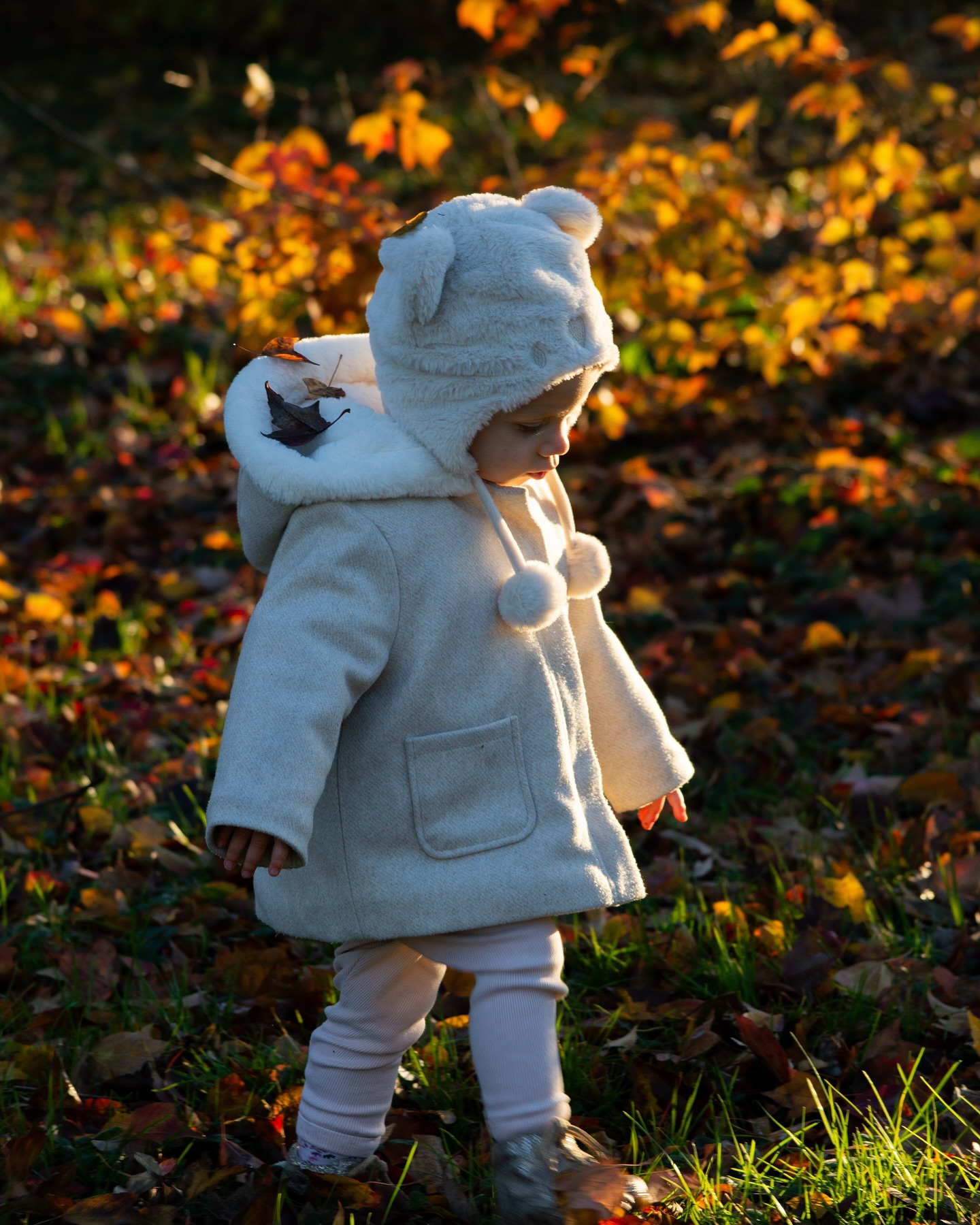 Un petit chaperon blanc 🍂☁️
.
.
.
#shootingfamille
#shootingfamilletoulouse
#familletoulouse