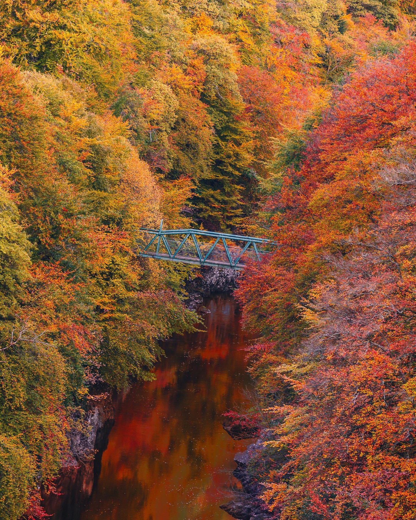 Peaceful footbridge over the River Garry.
#RiverGarry #PitlochryScotland #Footbridge #ScotlandViews #VisitScotland #ScottishLandscapes #ExploreScotland #ScenicWalks #BridgePhotography #NatureBridge #ScotlandShots #HiddenScotland #WanderScotland #HighlandsBridge #ScottishHighlands #NatureLovers #LandscapePhotography #PeacefulMoments #TravelScotland #WalkingScotland #ScenicTrails #AdventureAwaits #OutdoorsScotland #ScotlandTravel #NaturePhotography #AutumnInScotland #MorningWalks #BridgeViews #DiscoverScotland #ScotlandAdventure