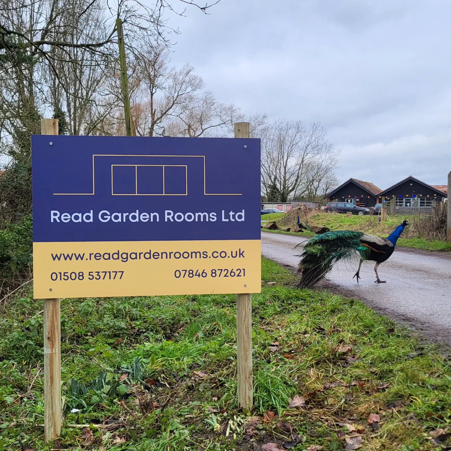 Pop down to Old Hall Farm and say hello to the peacocks! 🦚 We've got a lovely new sign up there too and some leaflets to take away.
Check out their farm shop and restaurant for something delicious!!
Huge thanks to @oldhallfarm for supporting Read Garden Rooms and allowing us to promote our business.
#readgardenrooms #oldhallfarm #oldhallfarmwoodton #farmshop #localbusiness
