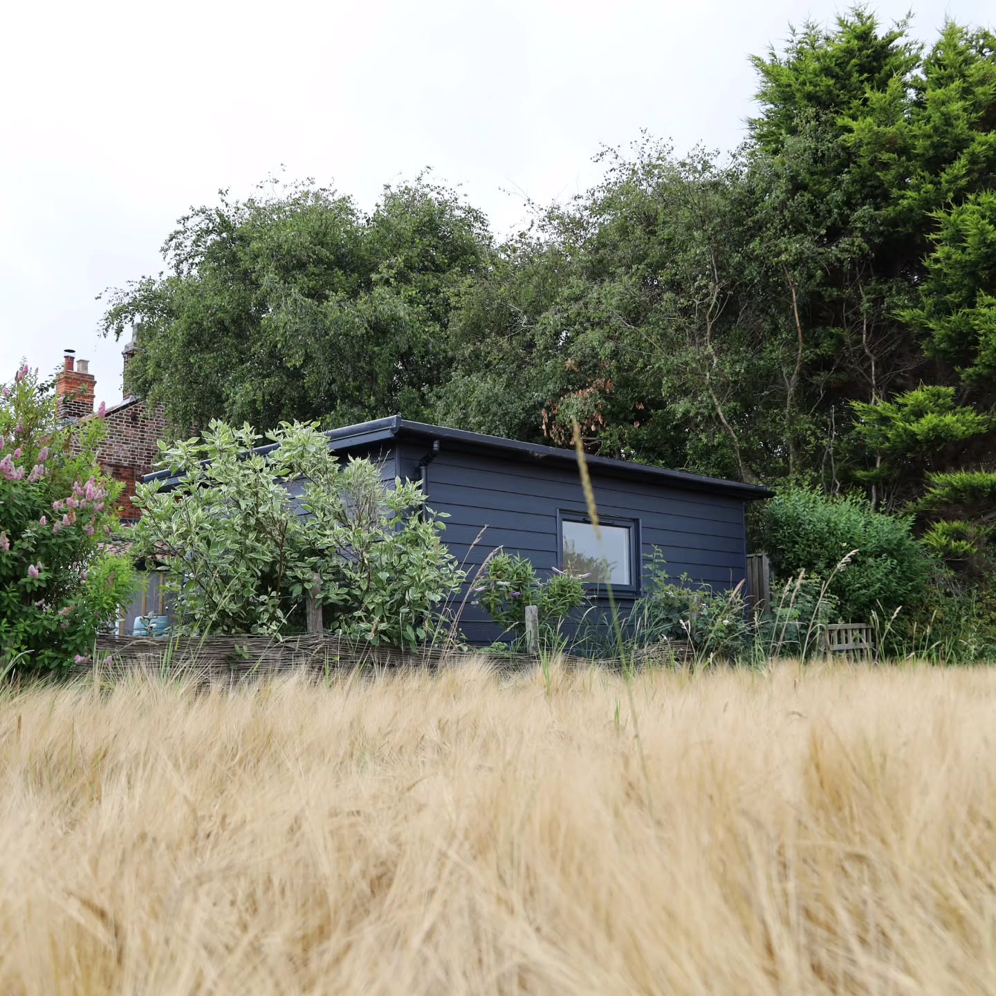 You can't quite see it from here, but take a stroll through the field, and you're on the beach! 🏖
Do you have a field vista that NEEDS a garden room to enjoy it from?!
#readgardenrooms #GardenRoom #outbuilding #norfolk #Suffolk #gardendesign #homeoffice #HomeGym #homestudio