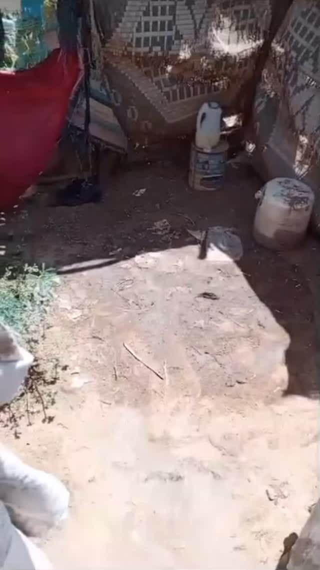 ‼️Don’t look past this. IFO Refugee families need your help!
These are the conditions. These are the poorest of the poor. And among them are Muslim brothers and sisters who will still fast despite their living conditions.
However with your generous support and contribution, you will be able to deliver Iftar for the families who need it the most.
👉🏼Donate Now with the link in our bio.
We also accept cashapp and Zella:
Cashapp- $SadaqaFound
Zella- Abdirahman Abdi (315) 751-1438
#aminalegacy #supportrefugees #giveback #makeadiffrence #savealife #makeadifference #ramadanspirit